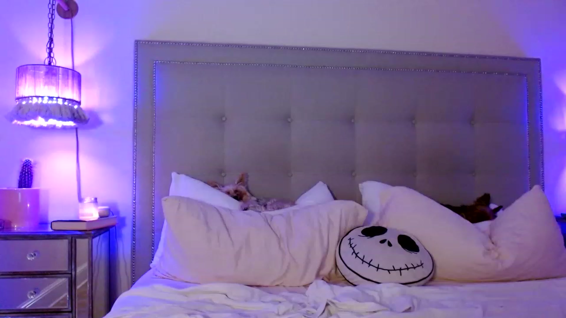 Gallery image thumbnail from DaniSendNudes's myfreecams stream on, 01/07/2023, 06:32 image 11 of 20