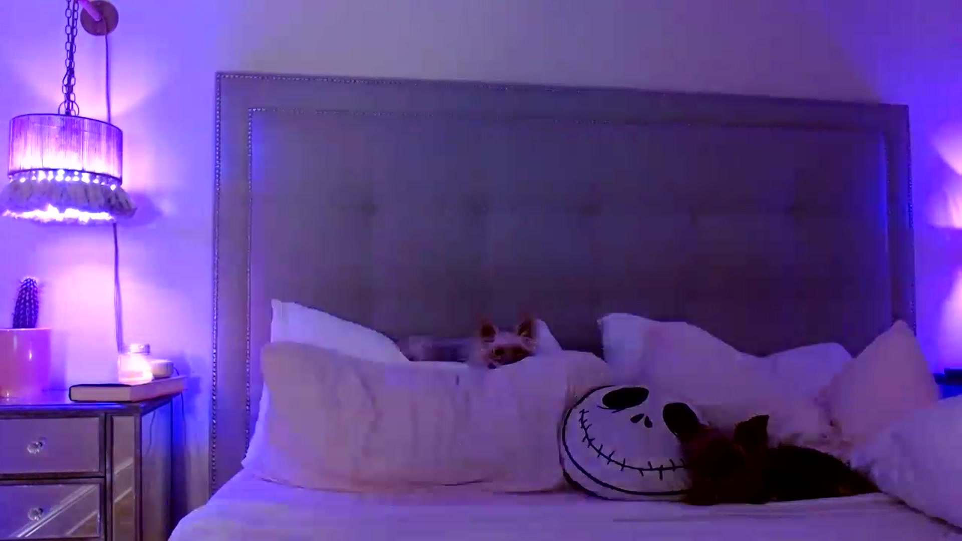 Gallery image thumbnail from DaniSendNudes's myfreecams stream on, 01/07/2023, 06:32 image 2 of 20