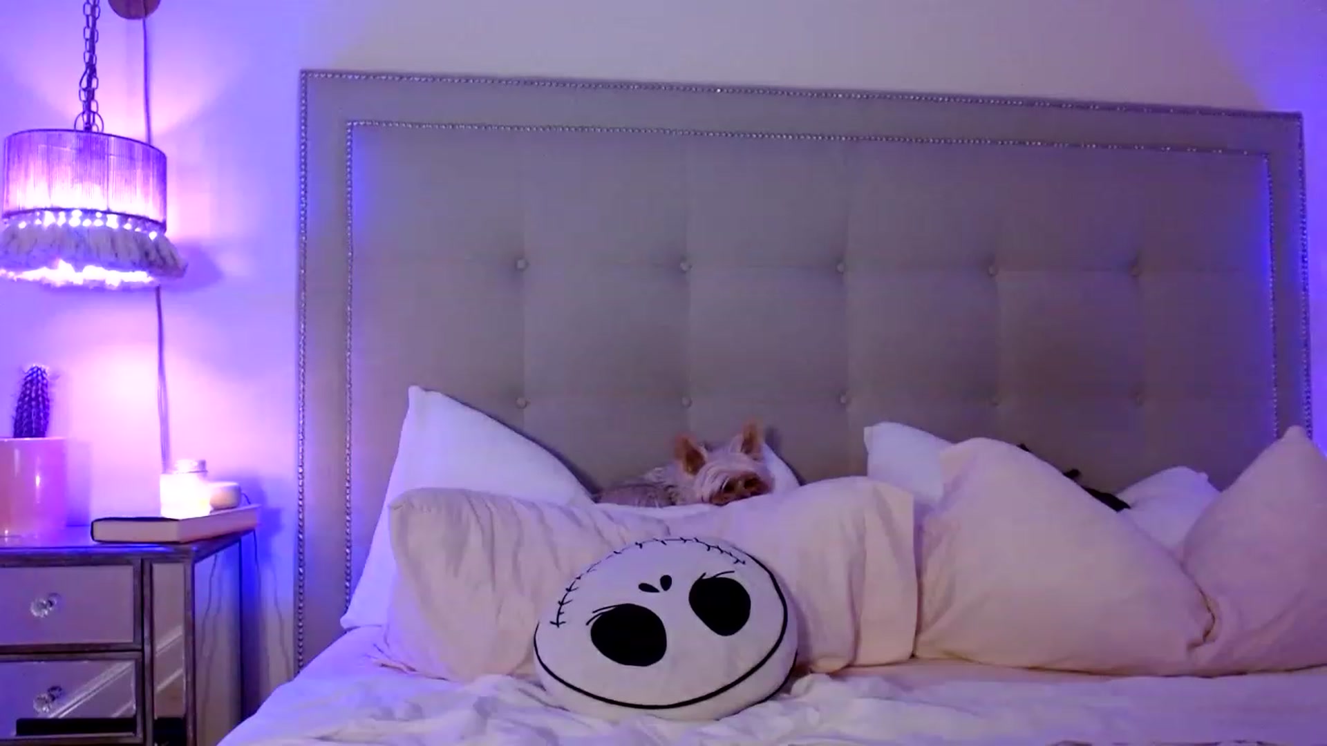 Gallery image thumbnail from DaniSendNudes's myfreecams stream on, 01/07/2023, 09:22 image 20 of 20