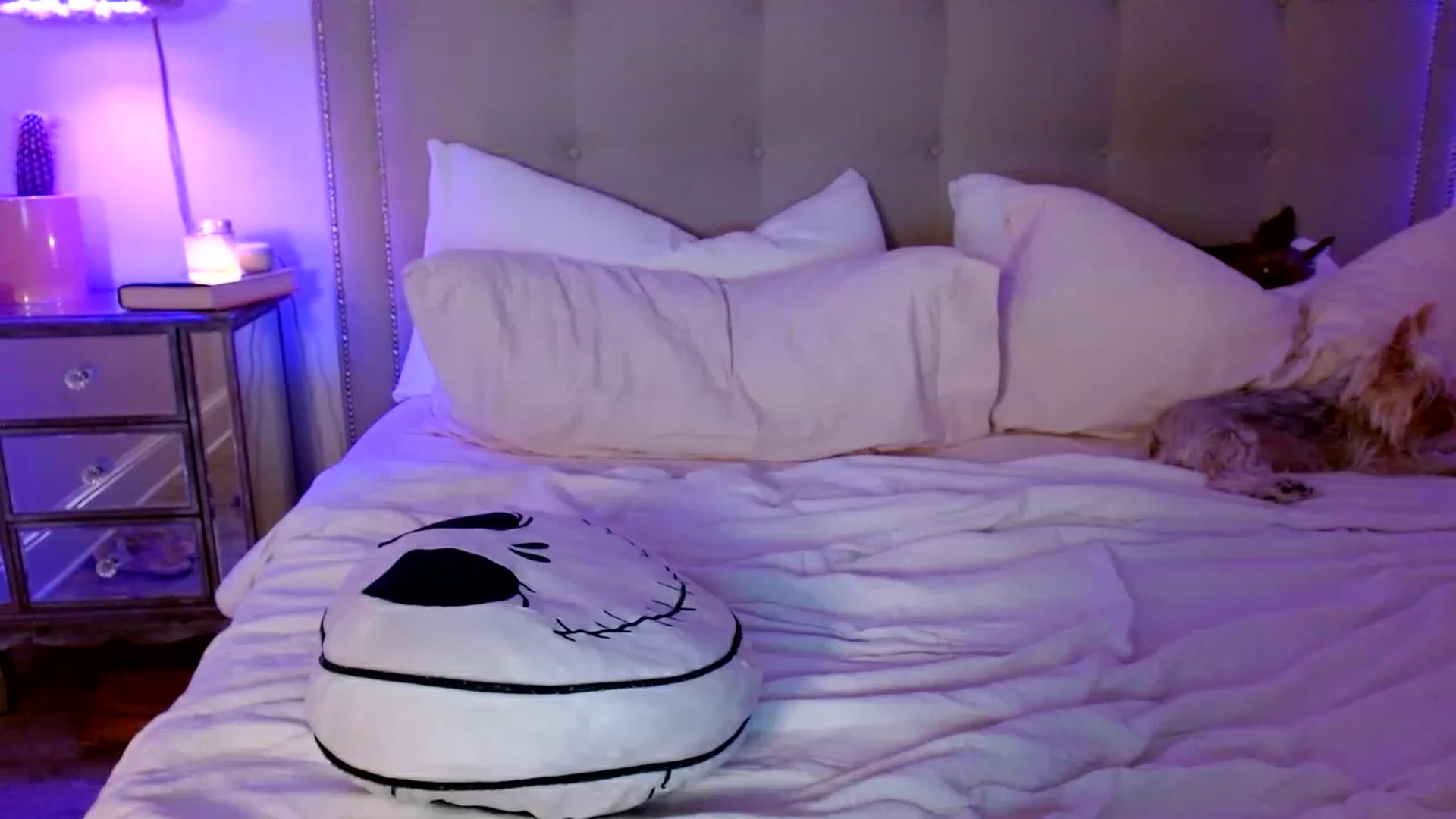 Gallery image thumbnail from DaniSendNudes's myfreecams stream on, 01/07/2023, 11:21 image 18 of 20