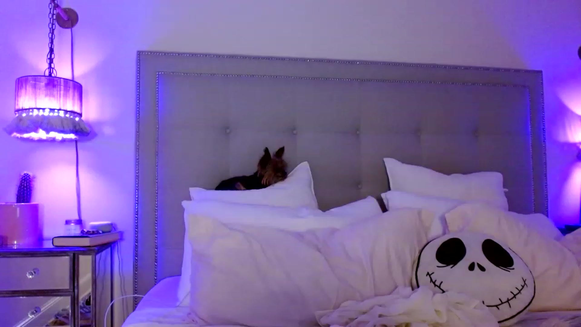 Gallery image thumbnail from DaniSendNudes's myfreecams stream on, 01/08/2023, 05:48 image 7 of 20