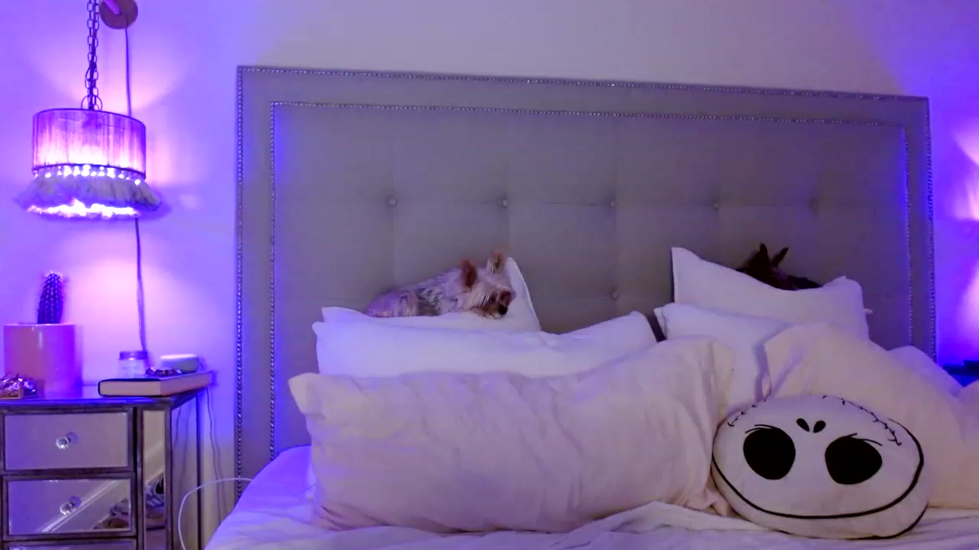 Gallery image thumbnail from DaniSendNudes's myfreecams stream on, 01/08/2023, 06:22 image 7 of 20