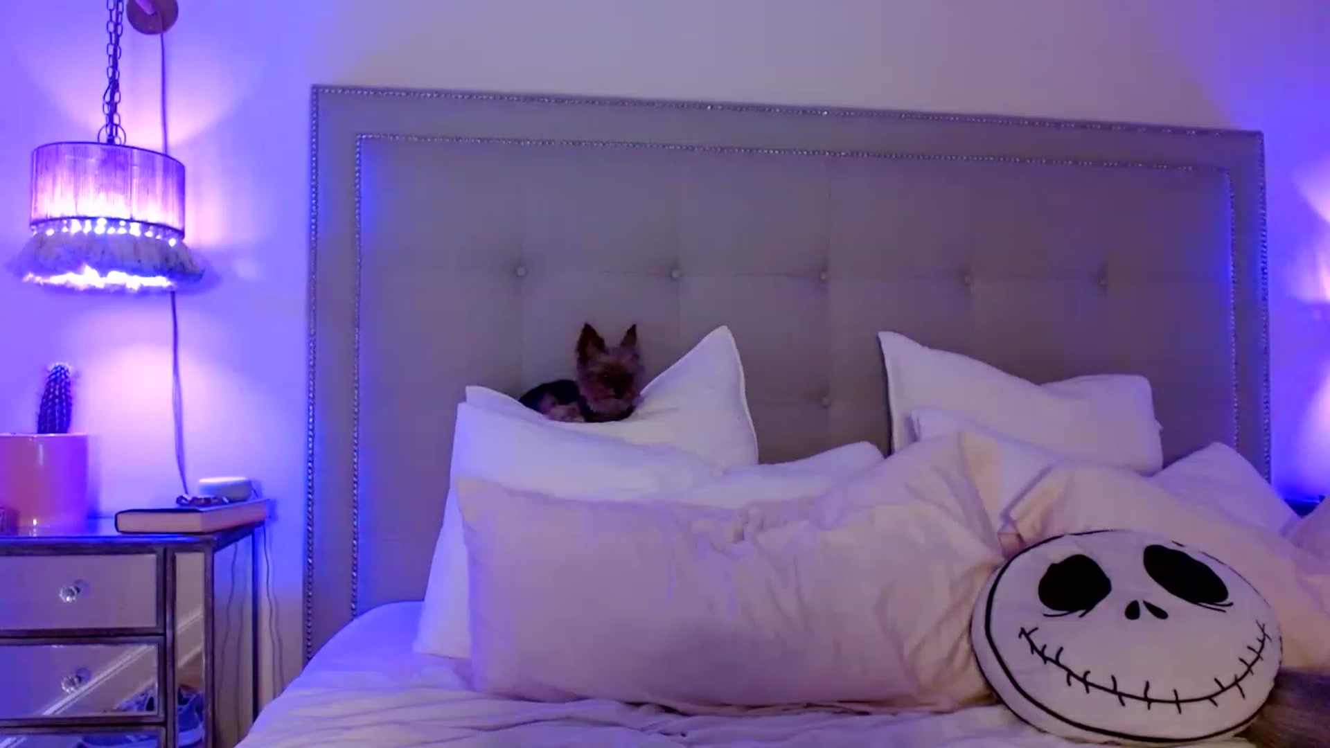 Gallery image thumbnail from DaniSendNudes's myfreecams stream on, 01/13/2023, 06:32 image 9 of 20