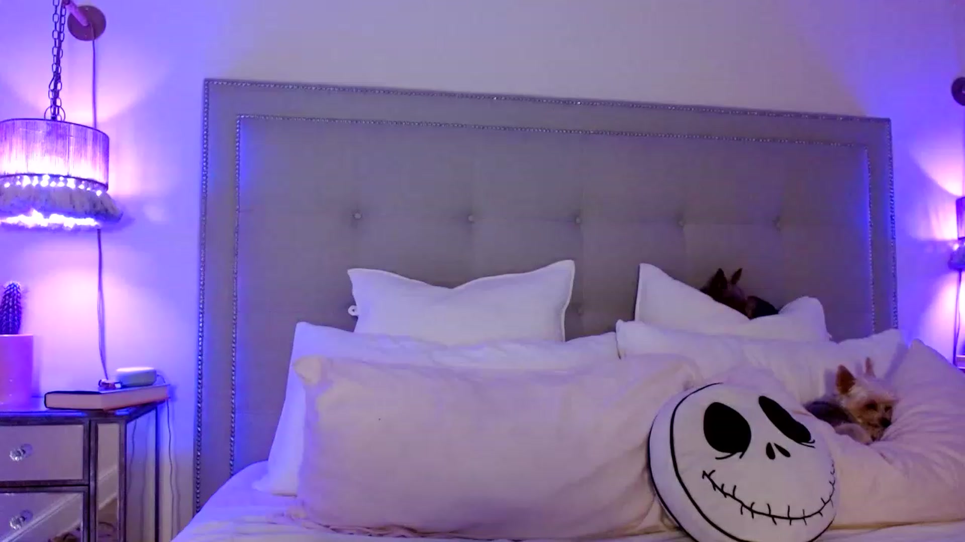 Gallery image thumbnail from DaniSendNudes's myfreecams stream on, 01/17/2023, 06:38 image 1 of 20