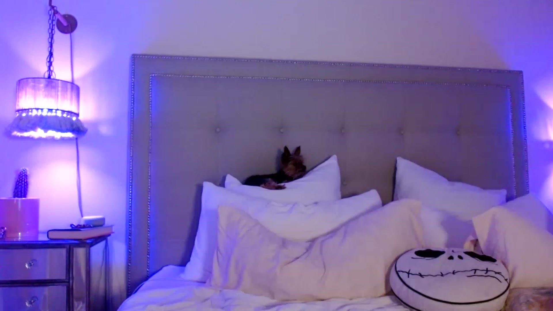 Gallery image thumbnail from DaniSendNudes's myfreecams stream on, 01/30/2023, 04:48 image 20 of 20