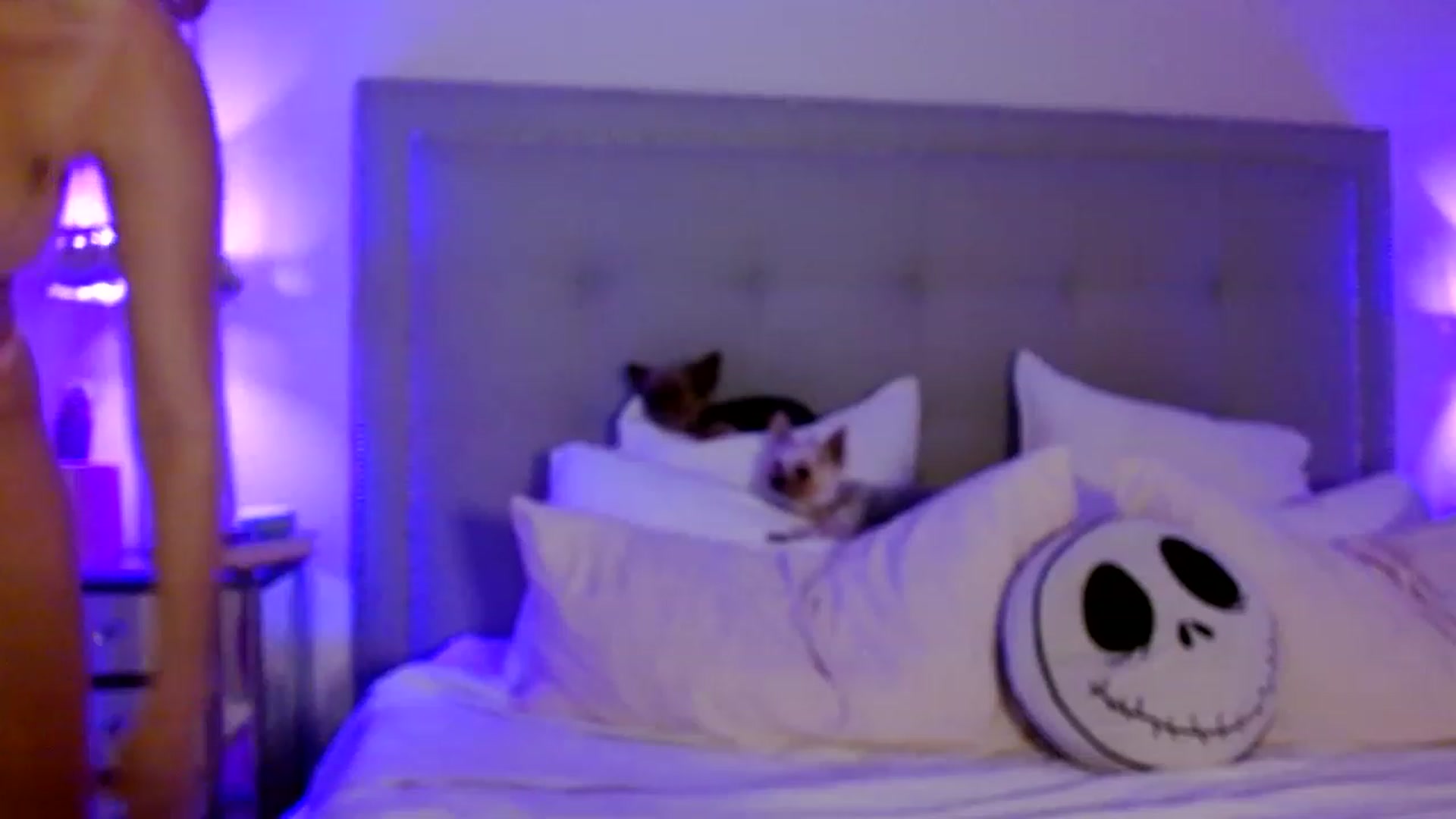 Gallery image thumbnail from DaniSendNudes's myfreecams stream on, 02/02/2023, 08:02 image 2 of 20