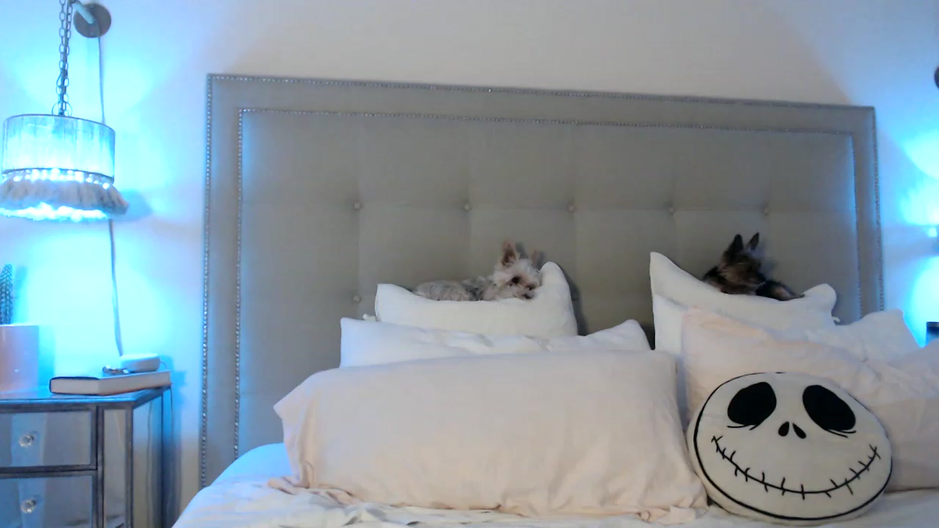 Gallery image thumbnail from DaniSendNudes's myfreecams stream on, 03/26/2023, 05:01 image 2 of 20