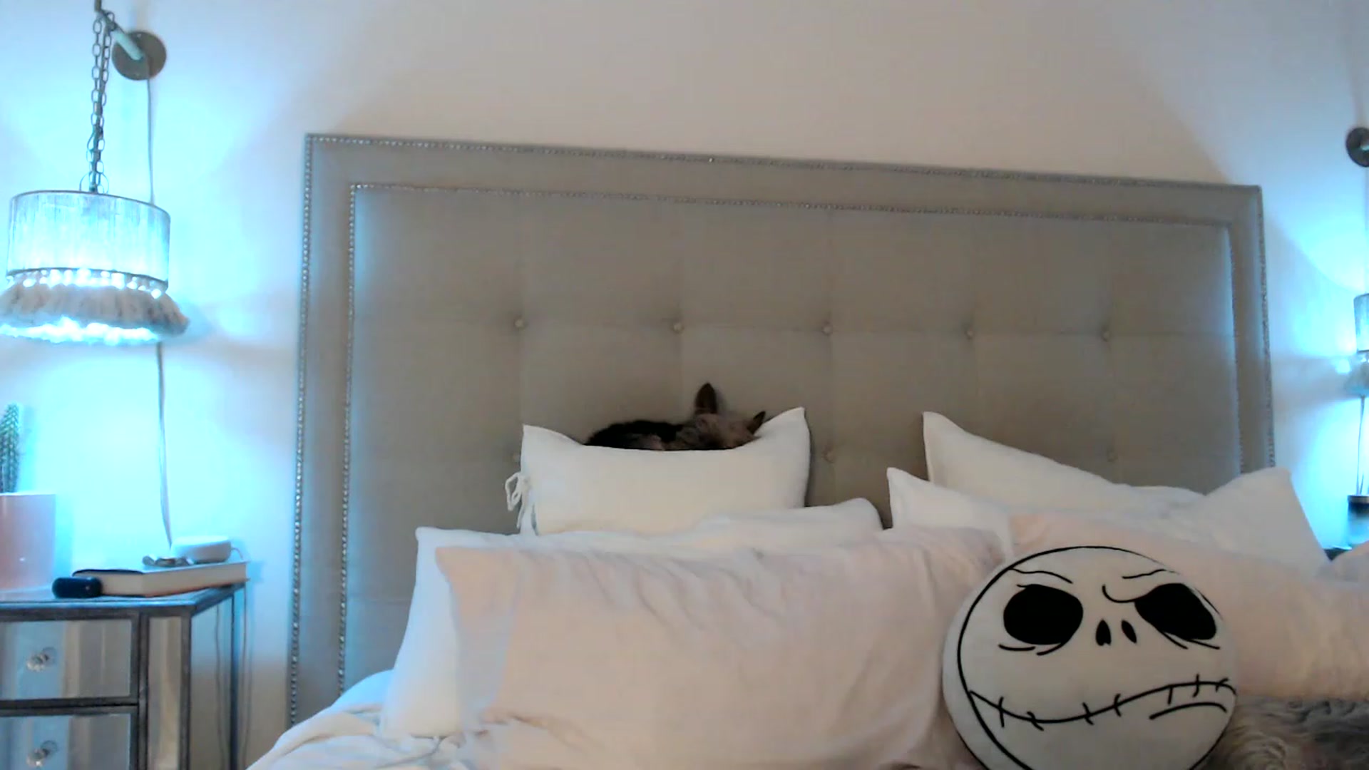 Gallery image thumbnail from DaniSendNudes's myfreecams stream on, 03/31/2023, 03:26 image 2 of 20