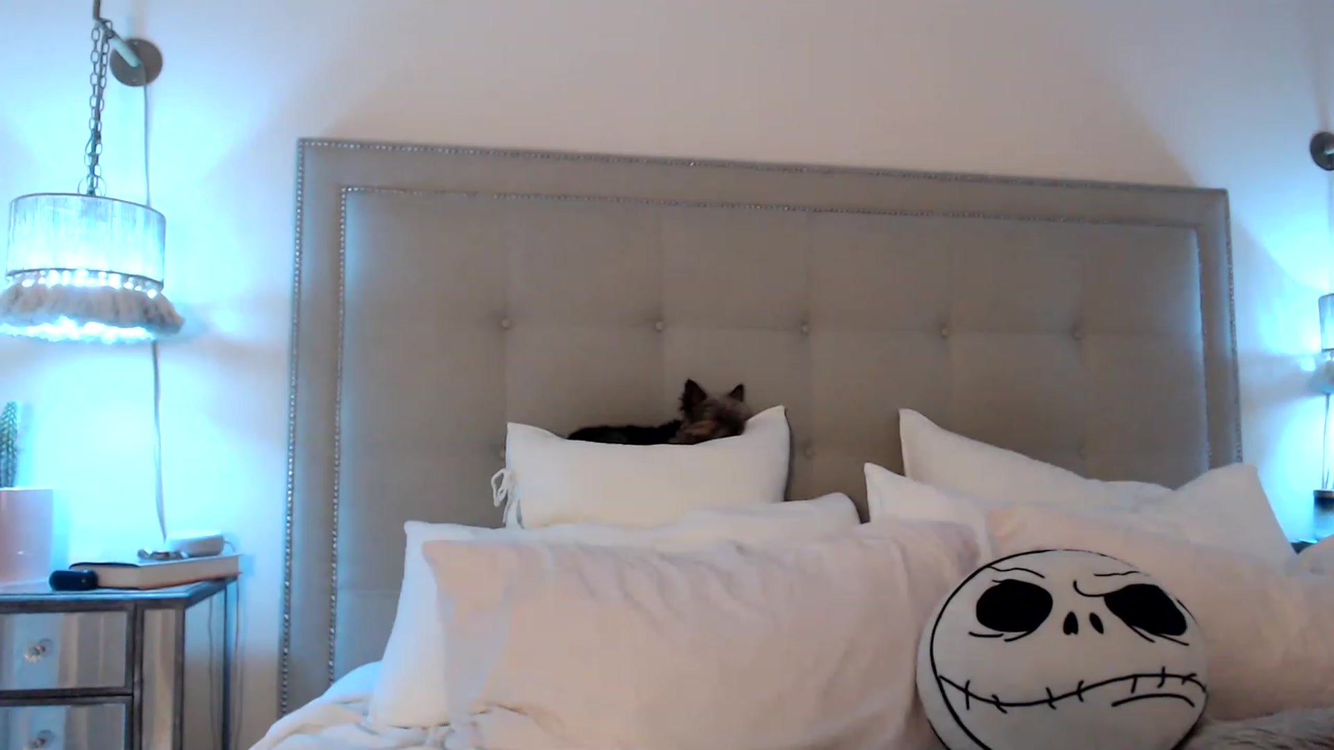 Gallery image thumbnail from DaniSendNudes's myfreecams stream on, 03/31/2023, 03:26 image 3 of 20