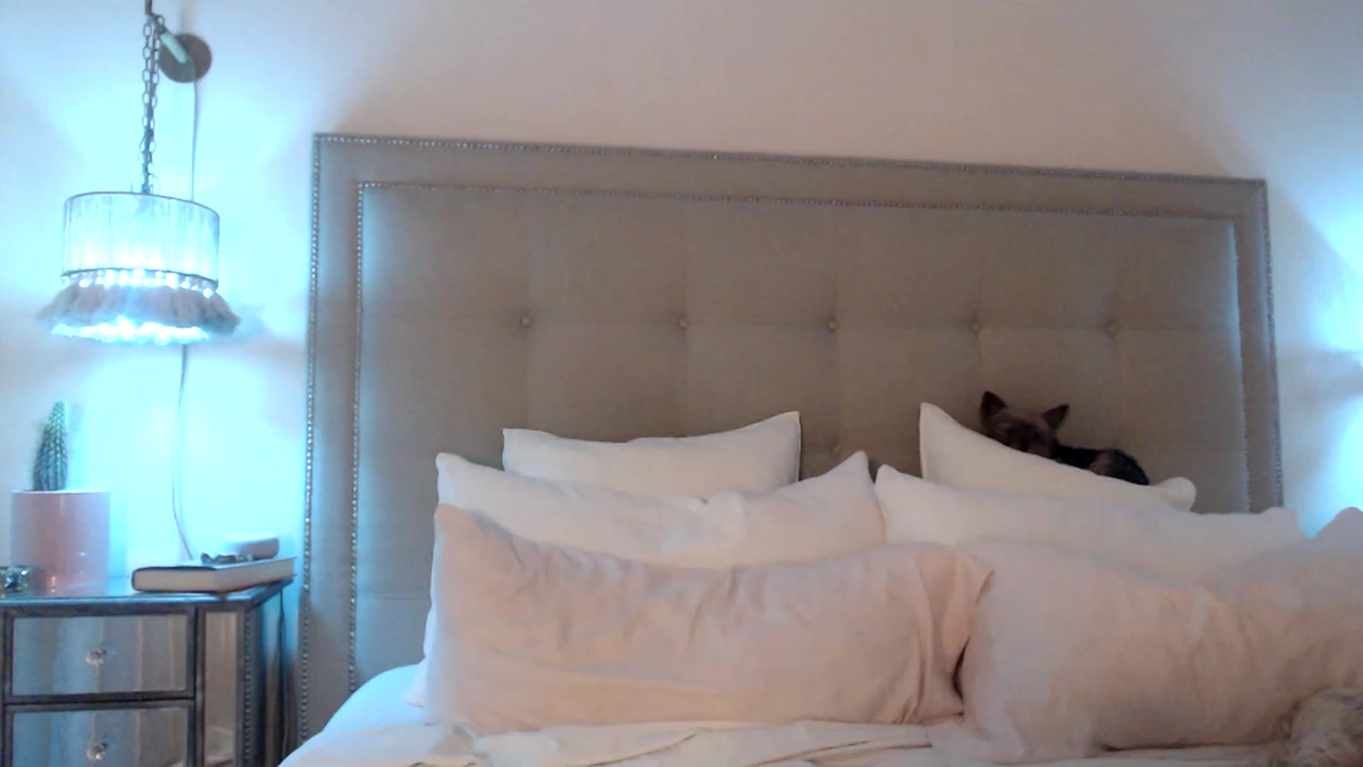 Gallery image thumbnail from DaniSendNudes's myfreecams stream on, 04/06/2023, 02:02 image 12 of 20