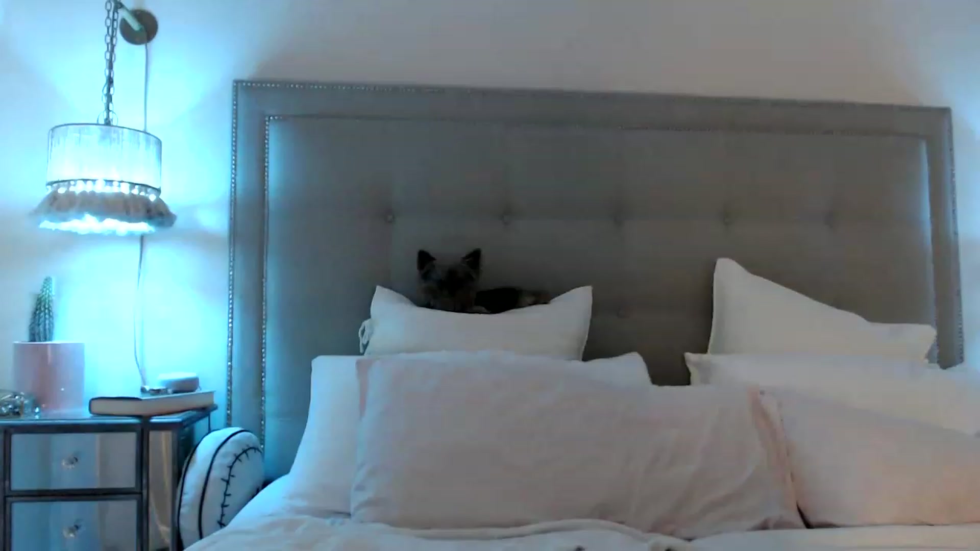 Gallery image thumbnail from DaniSendNudes's myfreecams stream on, 04/15/2023, 02:43 image 8 of 20