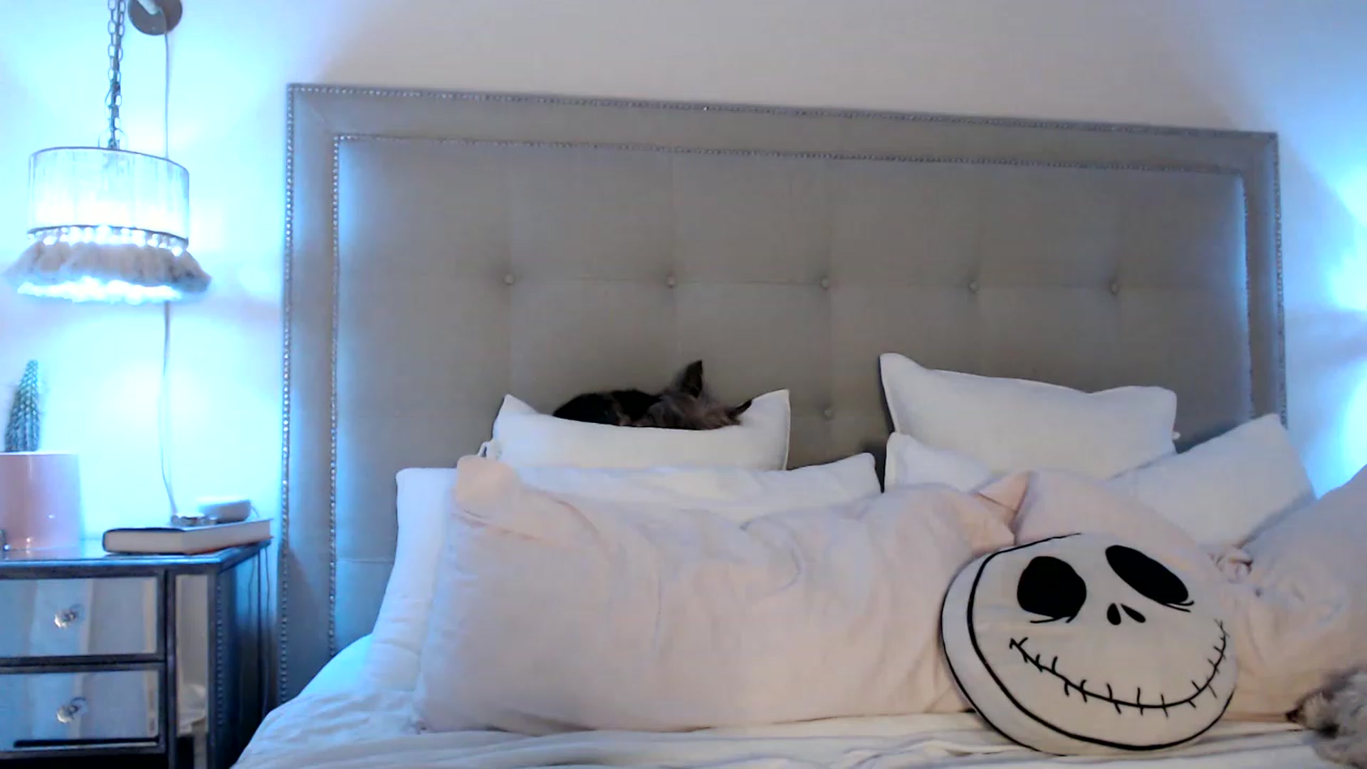 Gallery image thumbnail from DaniSendNudes's myfreecams stream on, 04/18/2023, 03:15 image 1 of 20
