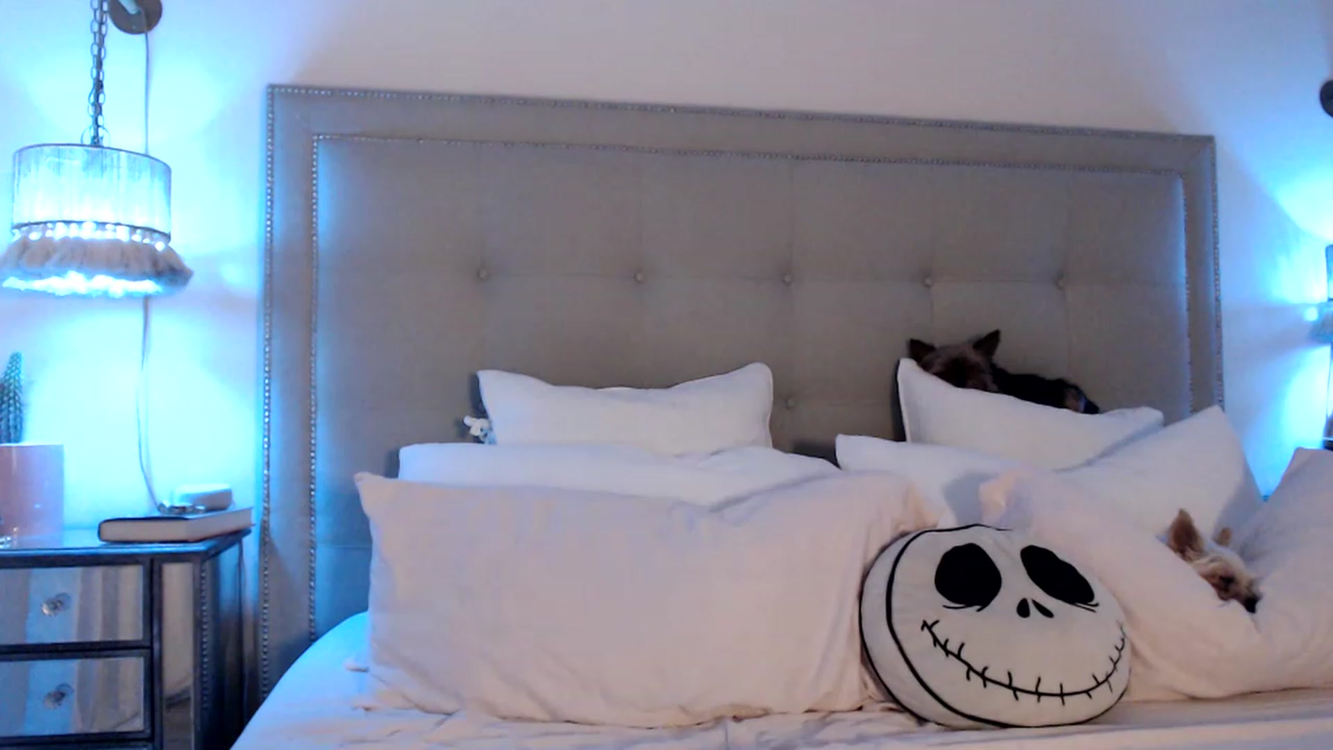 Gallery image thumbnail from DaniSendNudes's myfreecams stream on, 04/21/2023, 04:15 image 11 of 20