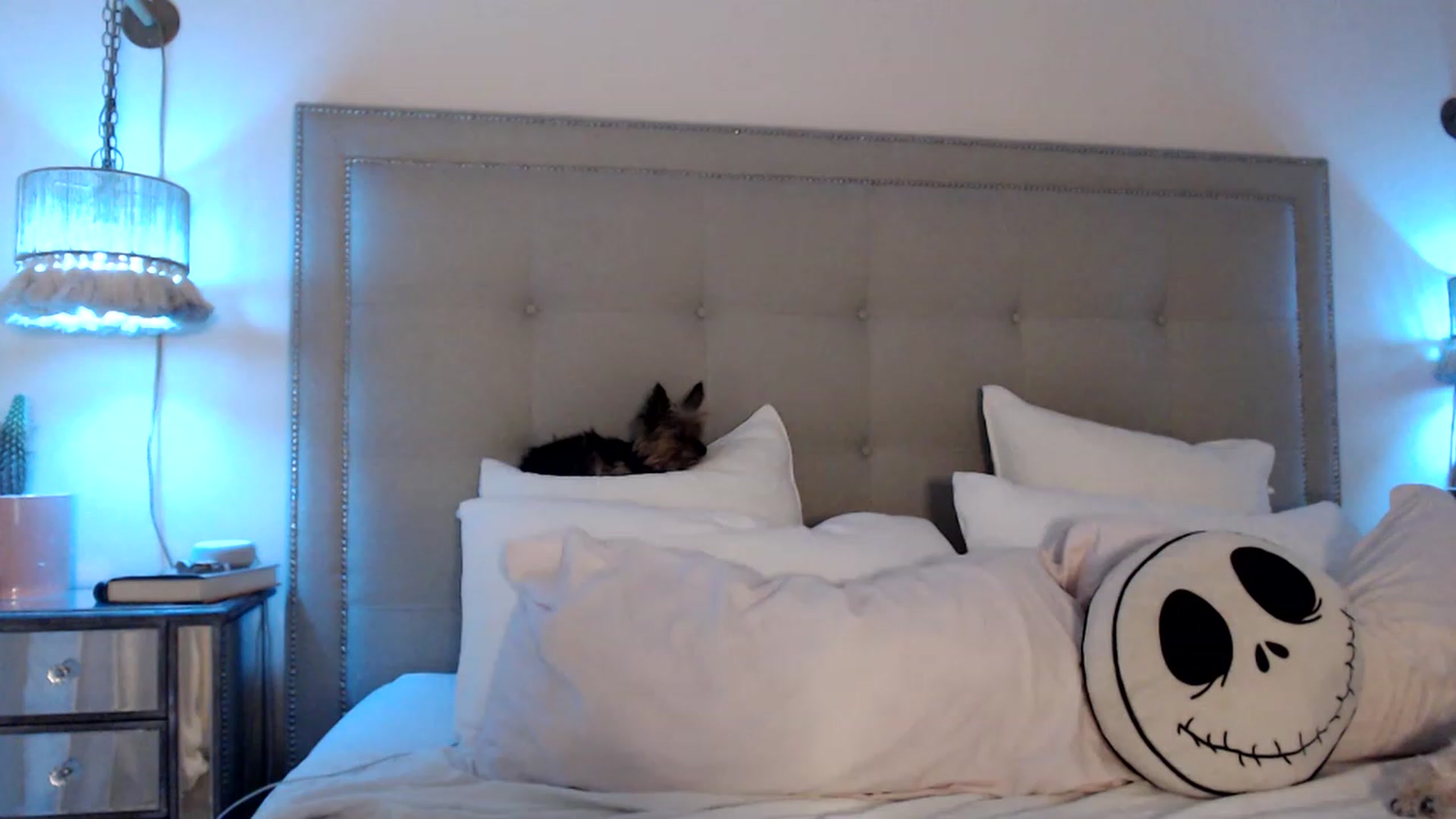 Gallery image thumbnail from DaniSendNudes's myfreecams stream on, 04/23/2023, 03:03 image 17 of 20