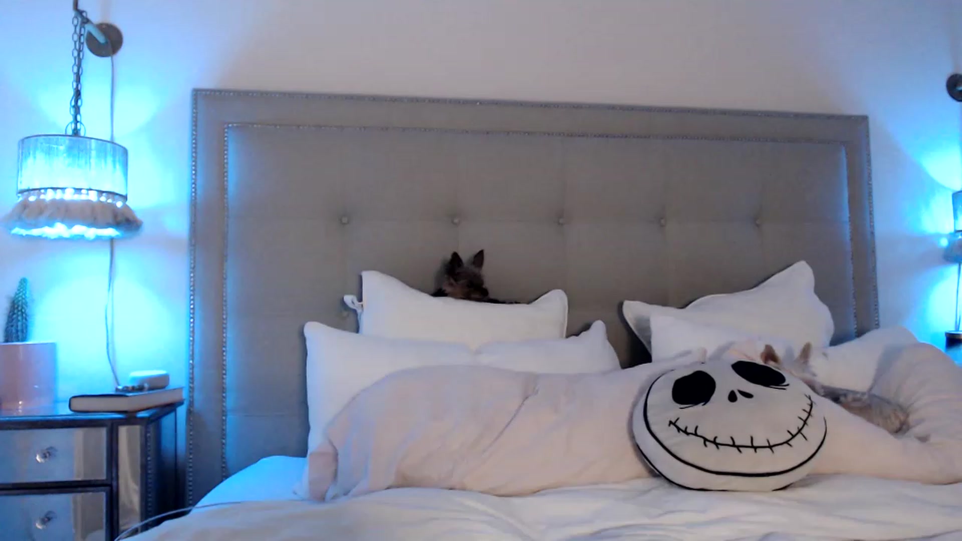 Gallery image thumbnail from DaniSendNudes's myfreecams stream on, 04/28/2023, 03:22 image 10 of 20