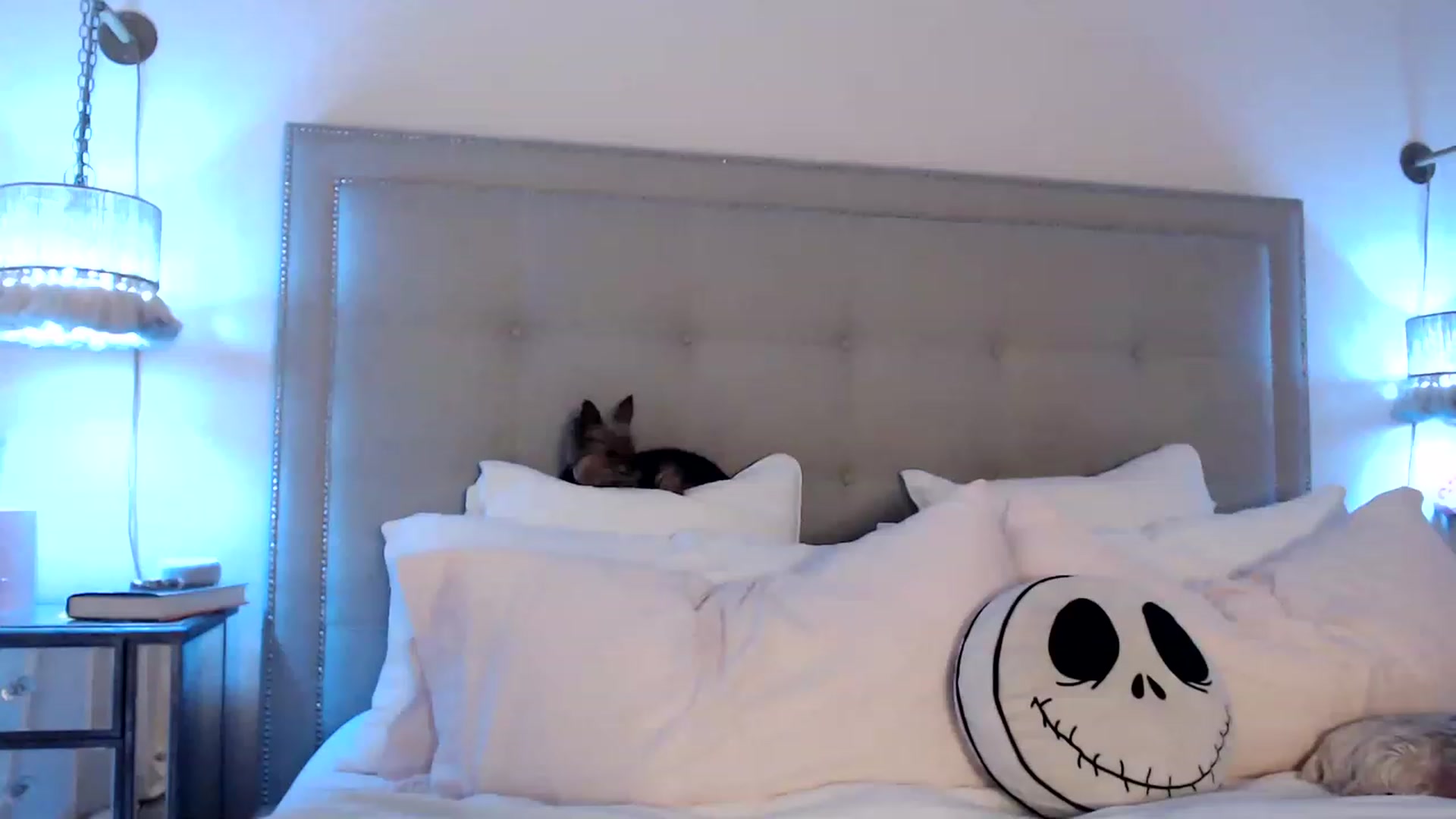 Gallery image thumbnail from DaniSendNudes's myfreecams stream on, 05/14/2023, 03:16 image 19 of 20