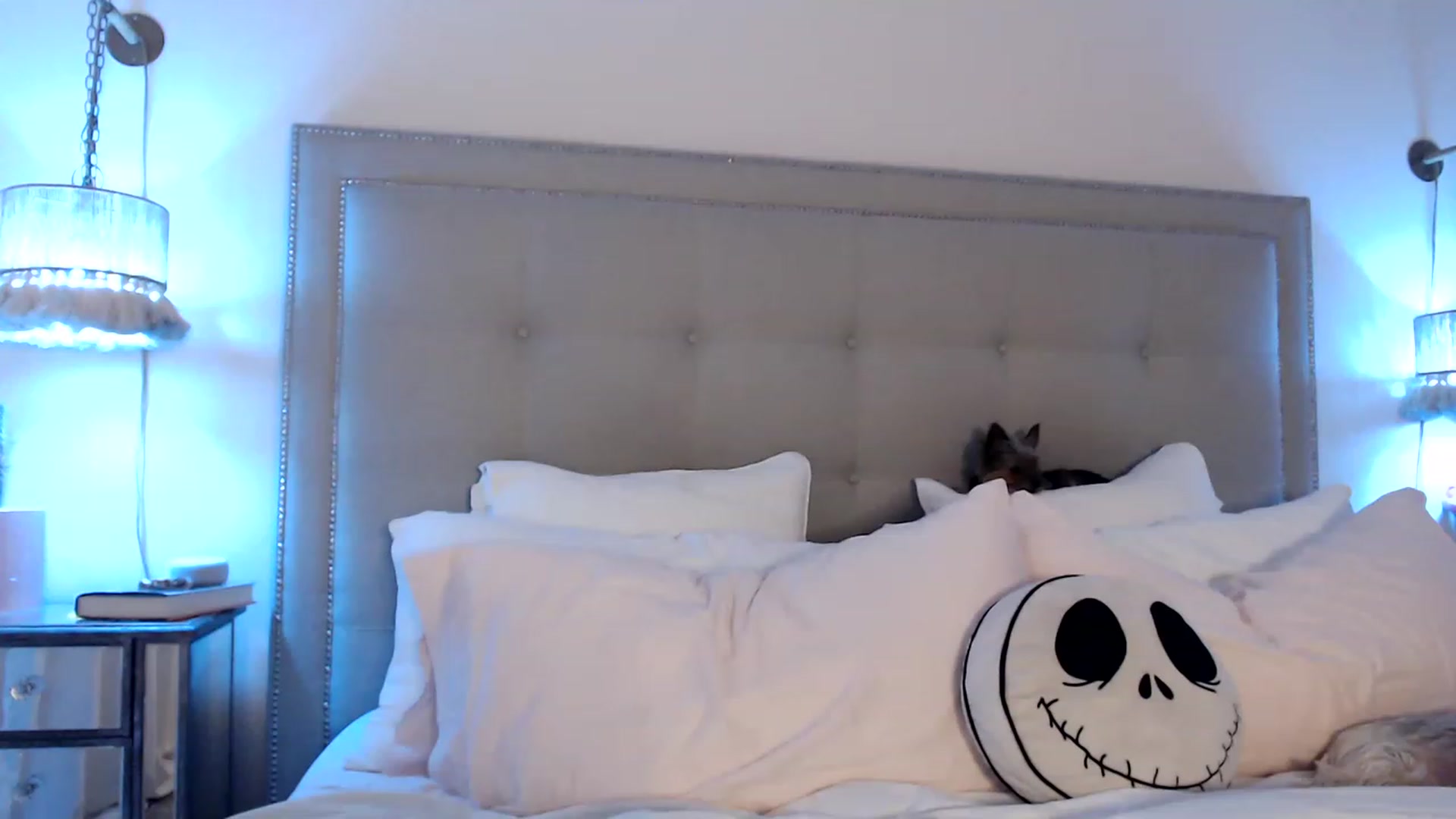 Gallery image thumbnail from DaniSendNudes's myfreecams stream on, 05/14/2023, 03:16 image 15 of 20