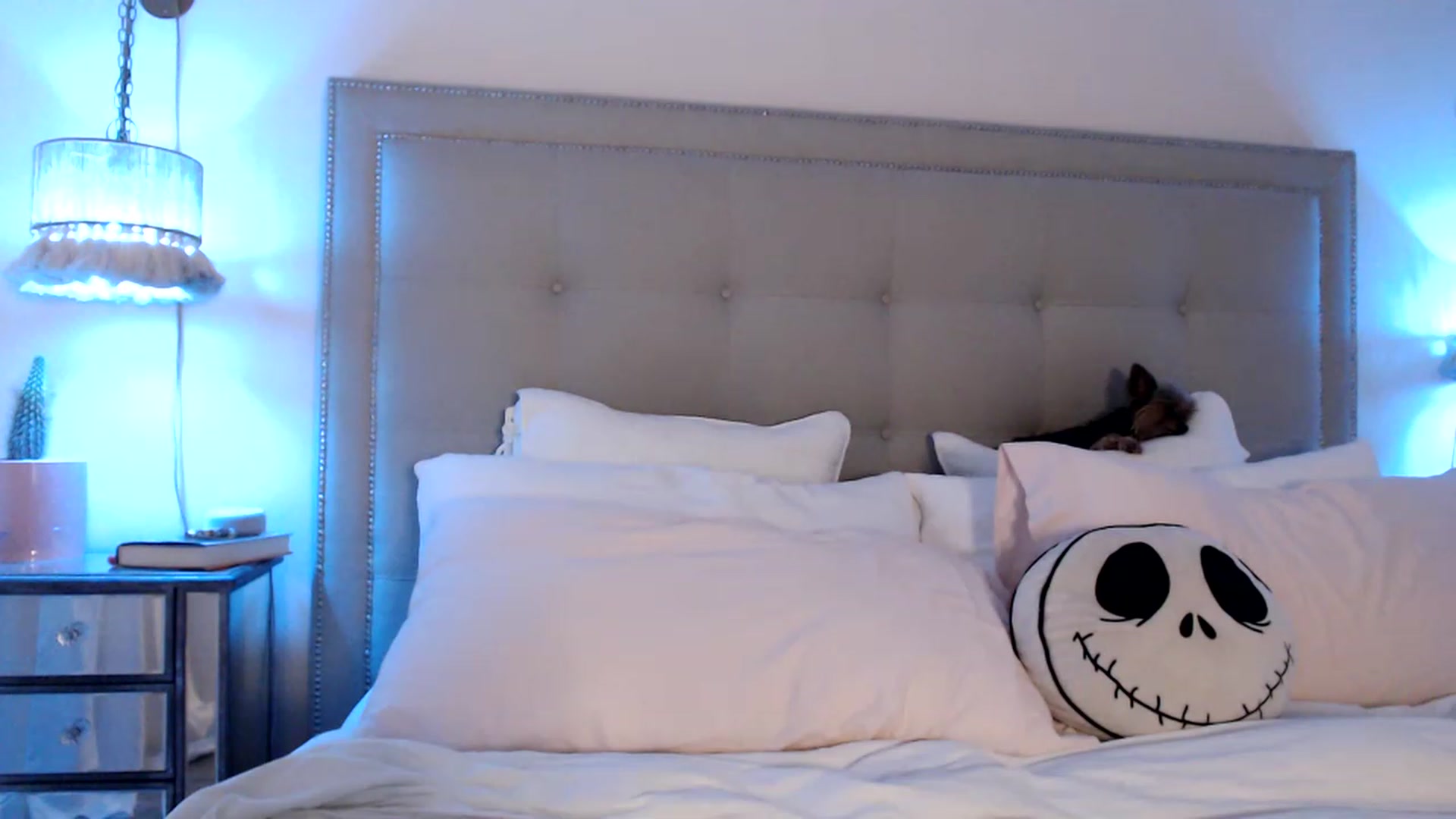 Gallery image thumbnail from DaniSendNudes's myfreecams stream on, 05/17/2023, 02:19 image 6 of 20