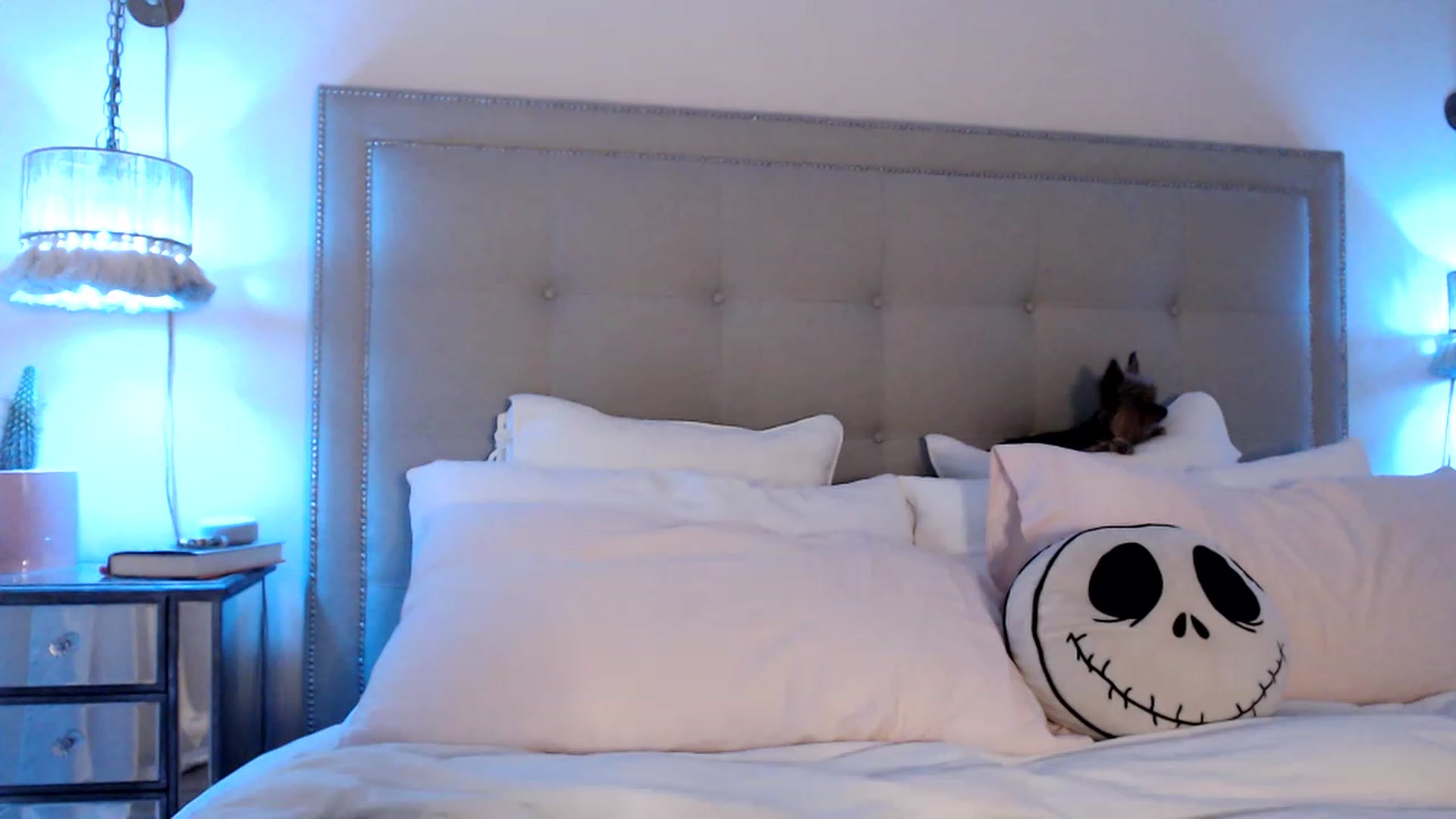 Gallery image thumbnail from DaniSendNudes's myfreecams stream on, 05/17/2023, 02:19 image 7 of 20