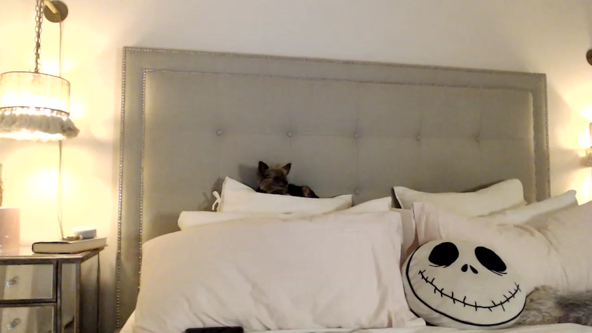 Gallery image thumbnail from DaniSendNudes's myfreecams stream on, 05/18/2023, 01:34 image 20 of 20