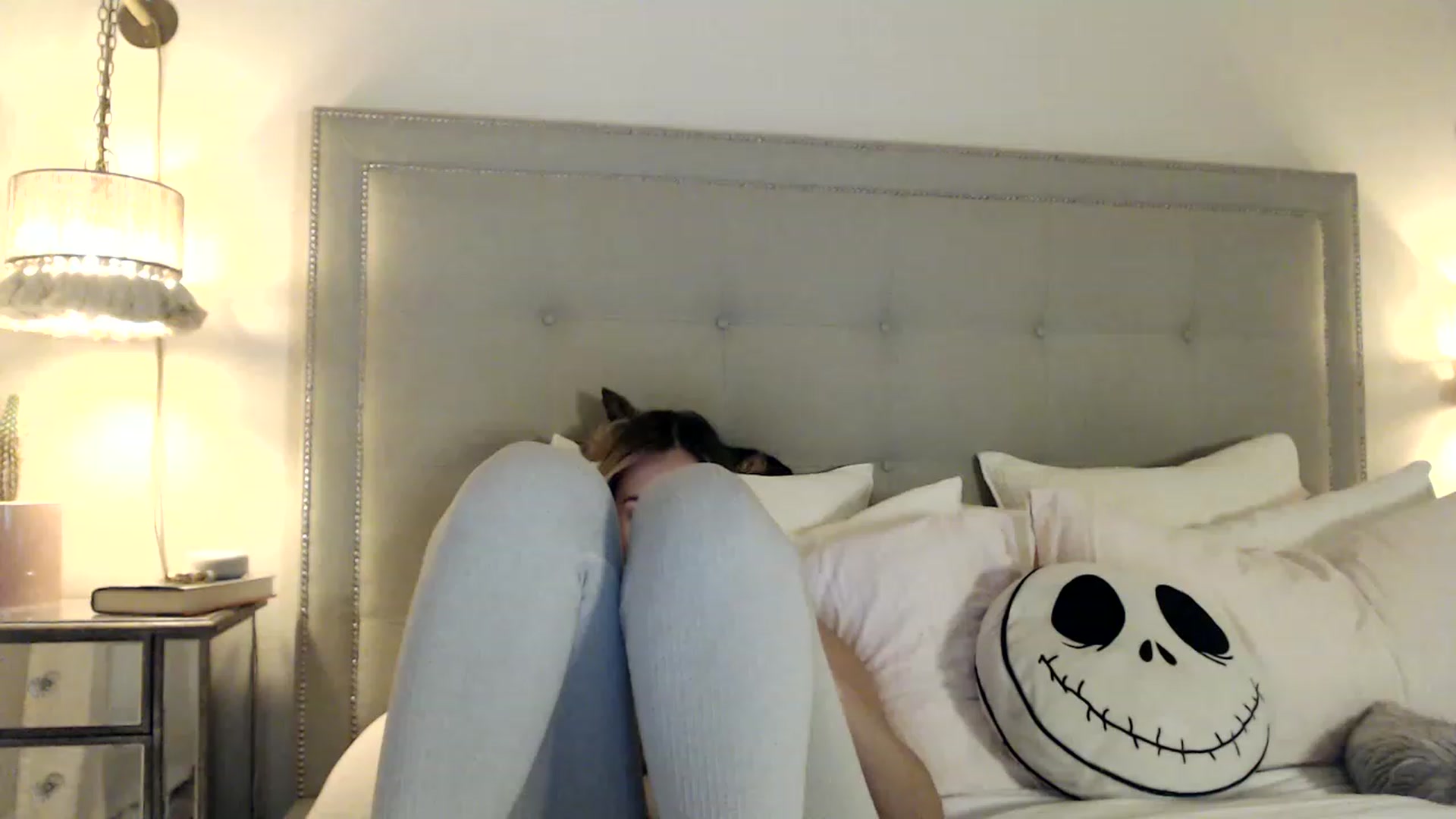 Gallery image thumbnail from DaniSendNudes's myfreecams stream on, 05/18/2023, 01:34 image 8 of 20