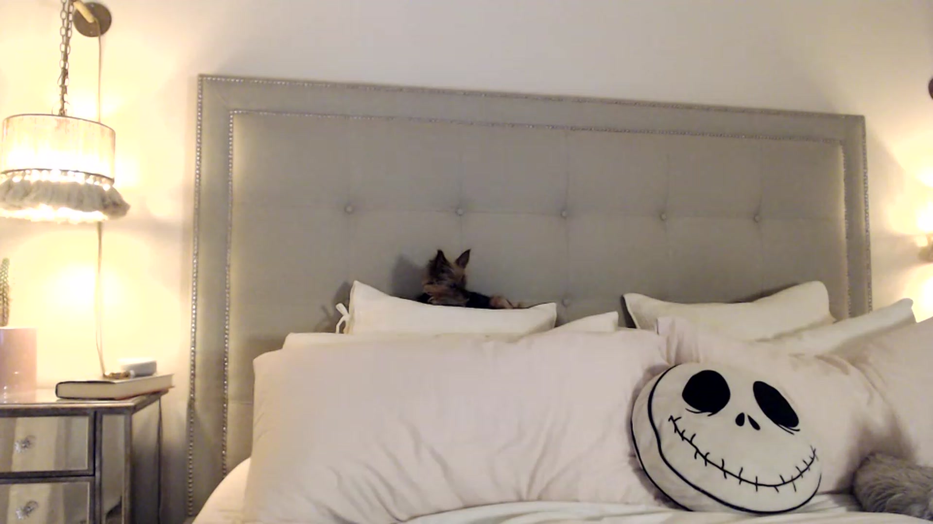 Gallery image thumbnail from DaniSendNudes's myfreecams stream on, 05/18/2023, 01:34 image 12 of 20