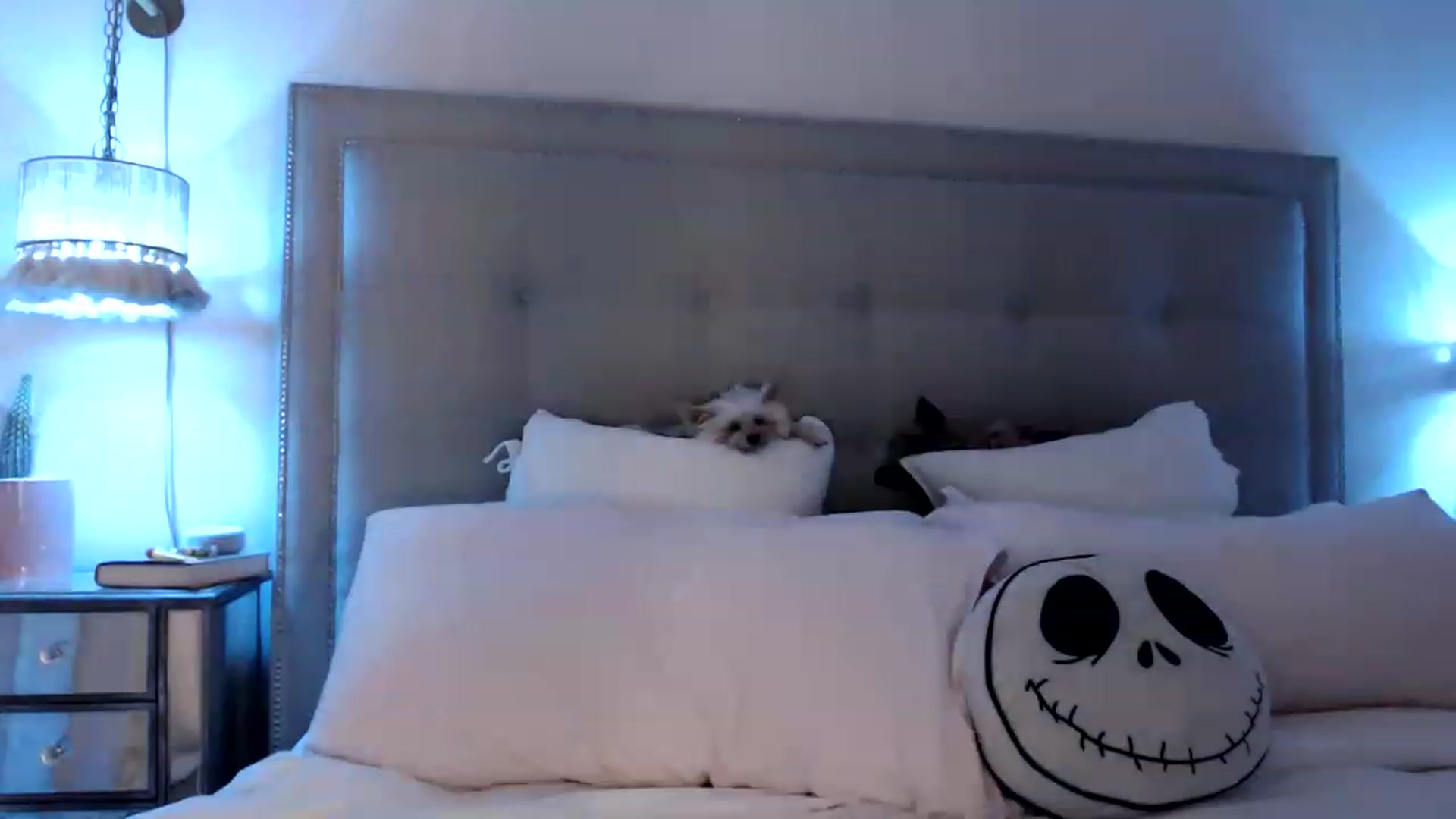 Gallery image thumbnail from DaniSendNudes's myfreecams stream on, 05/23/2023, 03:13 image 6 of 20