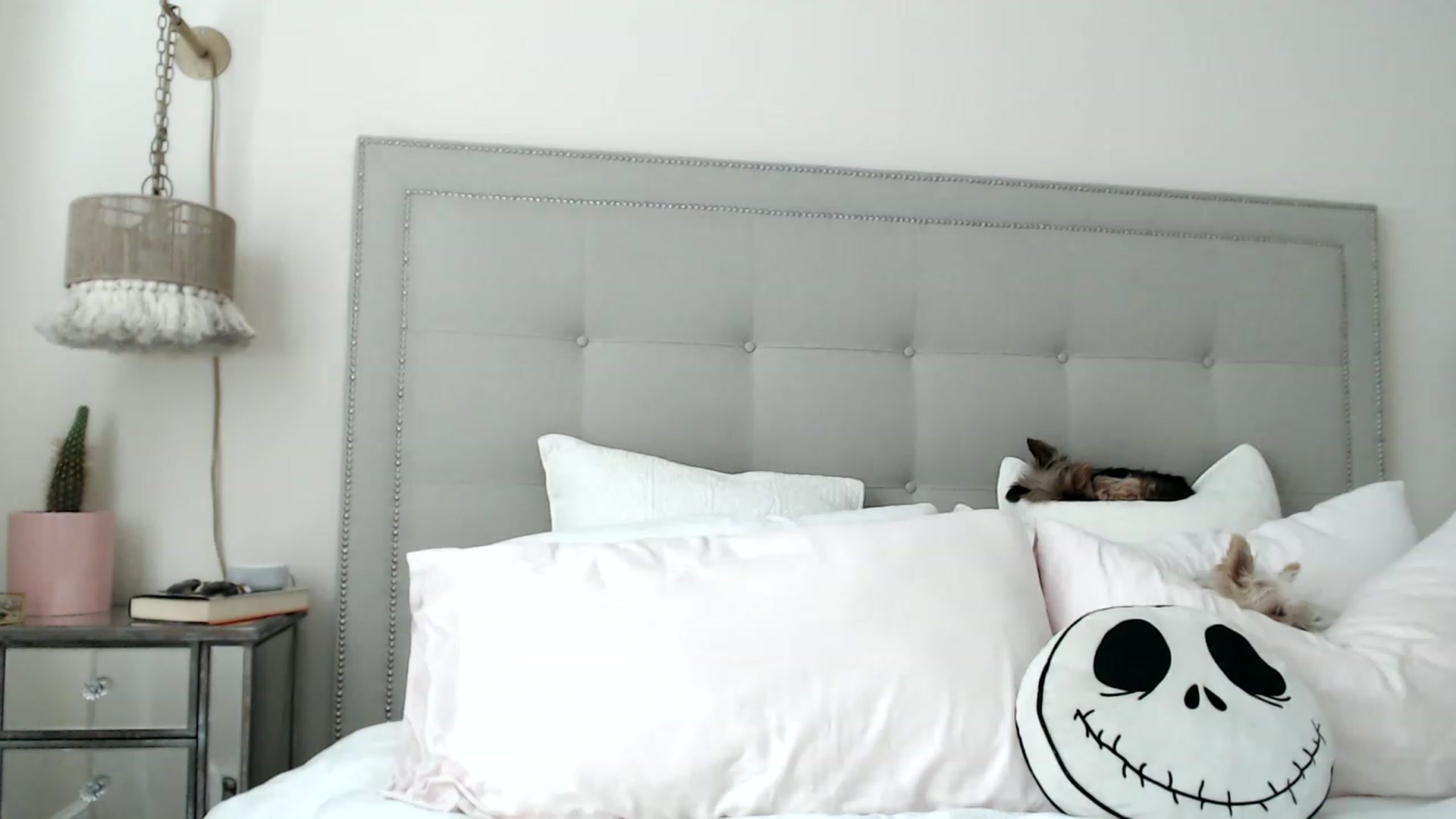Gallery image thumbnail from DaniSendNudes's myfreecams stream on, 05/31/2023, 18:24 image 19 of 20