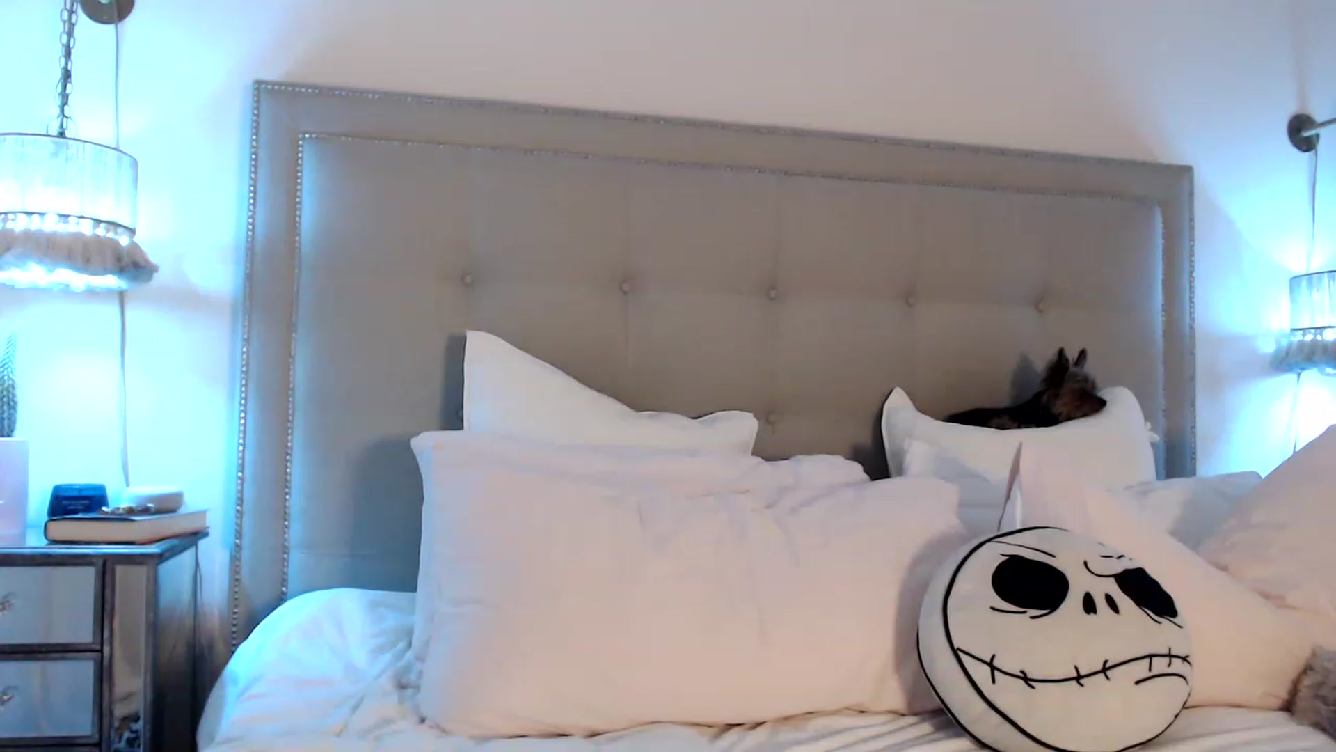 Gallery image thumbnail from DaniSendNudes's myfreecams stream on, 06/29/2023, 02:11 image 17 of 20