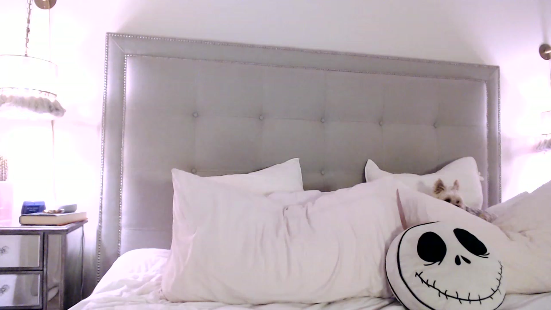 Gallery image thumbnail from DaniSendNudes's myfreecams stream on, 07/03/2023, 01:38 image 11 of 20