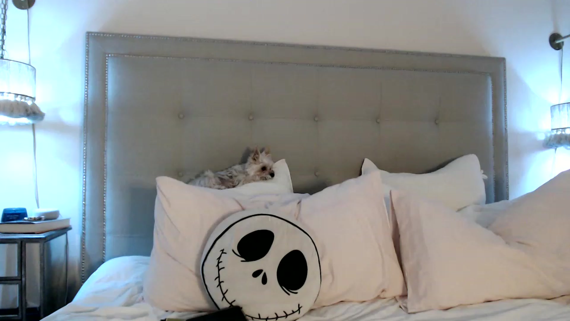 Gallery image thumbnail from DaniSendNudes's myfreecams stream on, 07/03/2023, 01:38 image 19 of 20