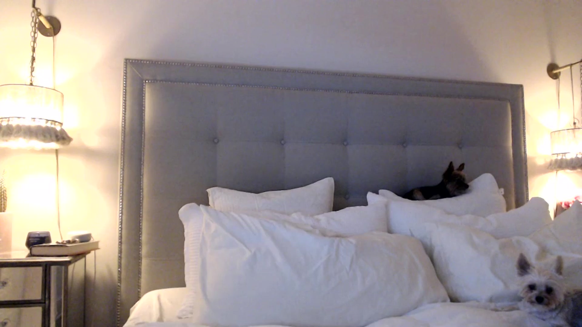 Gallery image thumbnail from DaniSendNudes's myfreecams stream on, 07/14/2023, 24:07 image 13 of 20