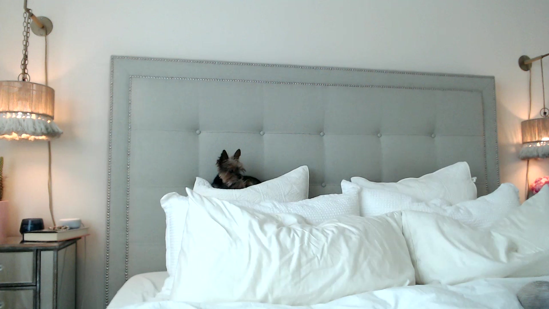 Gallery image thumbnail from DaniSendNudes's myfreecams stream on, 07/14/2023, 24:07 image 4 of 20