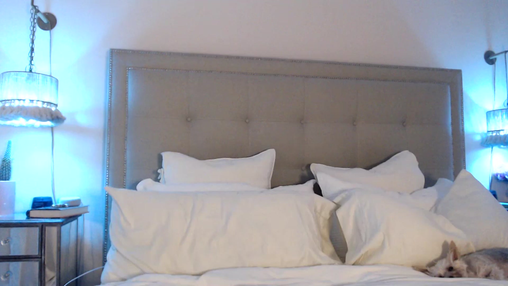 Gallery image thumbnail from DaniSendNudes's myfreecams stream on, 07/19/2023, 02:37 image 4 of 20