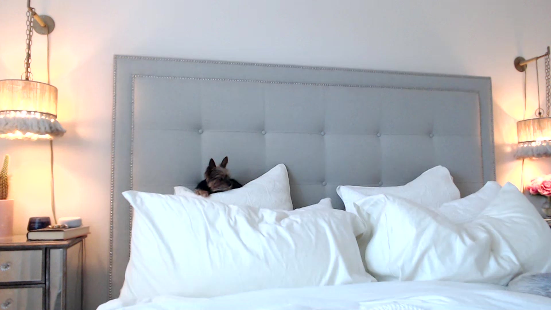 Gallery image thumbnail from DaniSendNudes's myfreecams stream on, 07/20/2023, 23:19 image 10 of 20