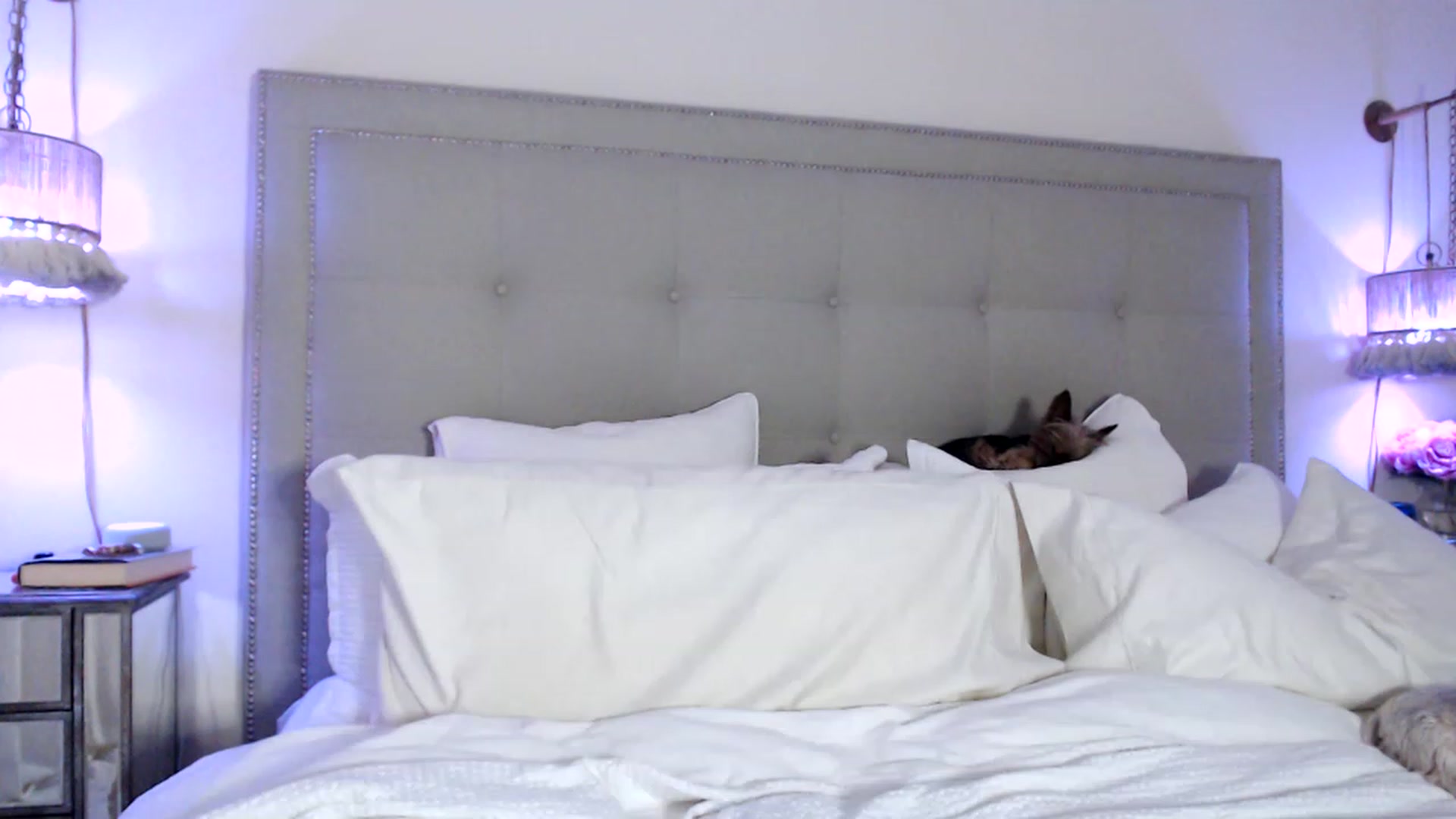 Gallery image thumbnail from DaniSendNudes's myfreecams stream on, 07/24/2023, 02:56 image 12 of 20