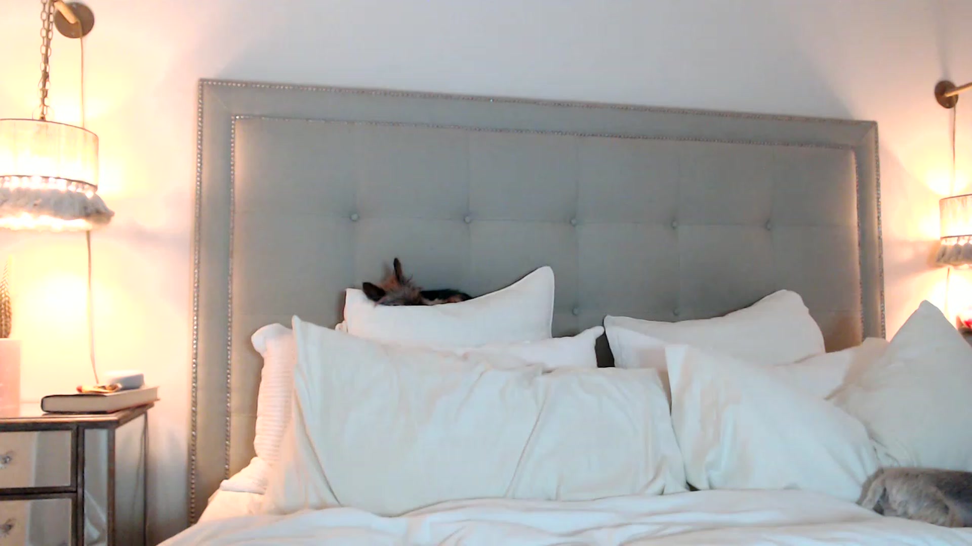 Gallery image thumbnail from DaniSendNudes's myfreecams stream on, 07/27/2023, 01:53 image 20 of 20