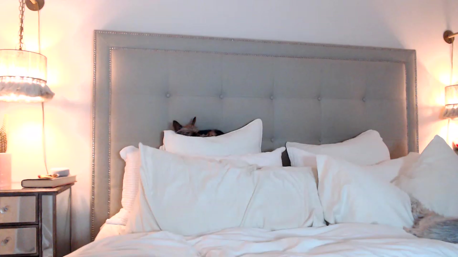 Gallery image thumbnail from DaniSendNudes's myfreecams stream on, 07/27/2023, 01:53 image 14 of 20