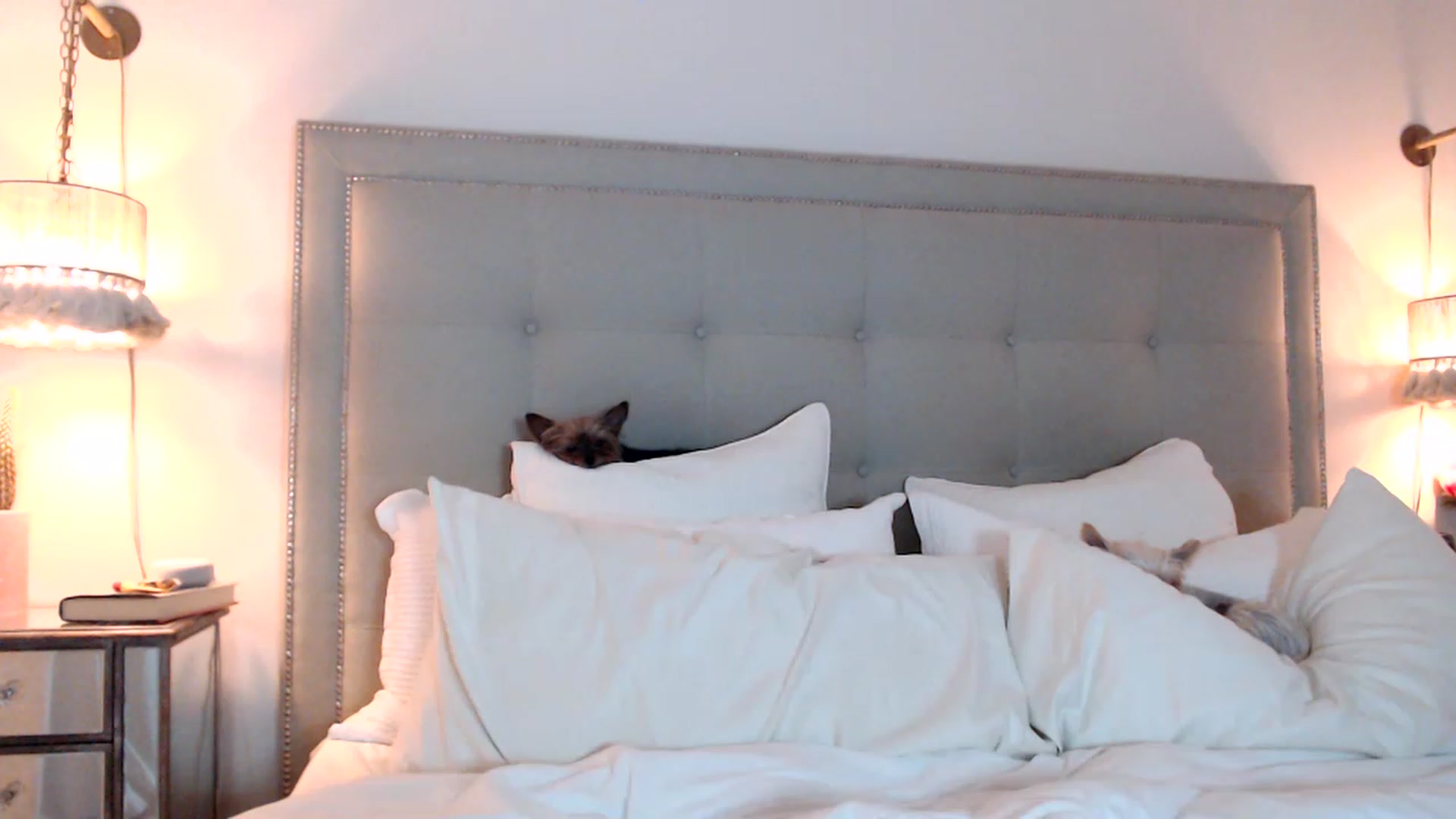 Gallery image thumbnail from DaniSendNudes's myfreecams stream on, 07/27/2023, 02:30 image 10 of 20