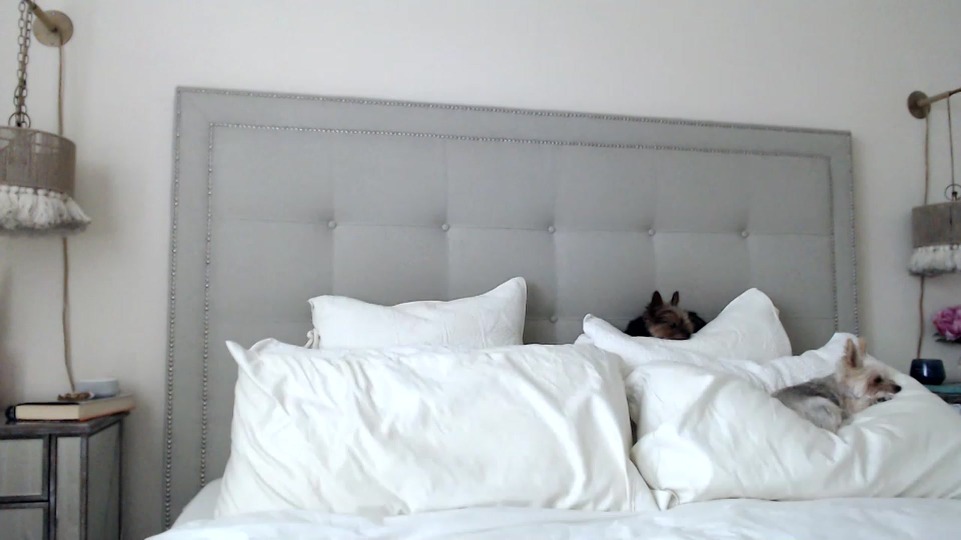 Gallery image thumbnail from DaniSendNudes's myfreecams stream on, 07/27/2023, 20:48 image 5 of 20