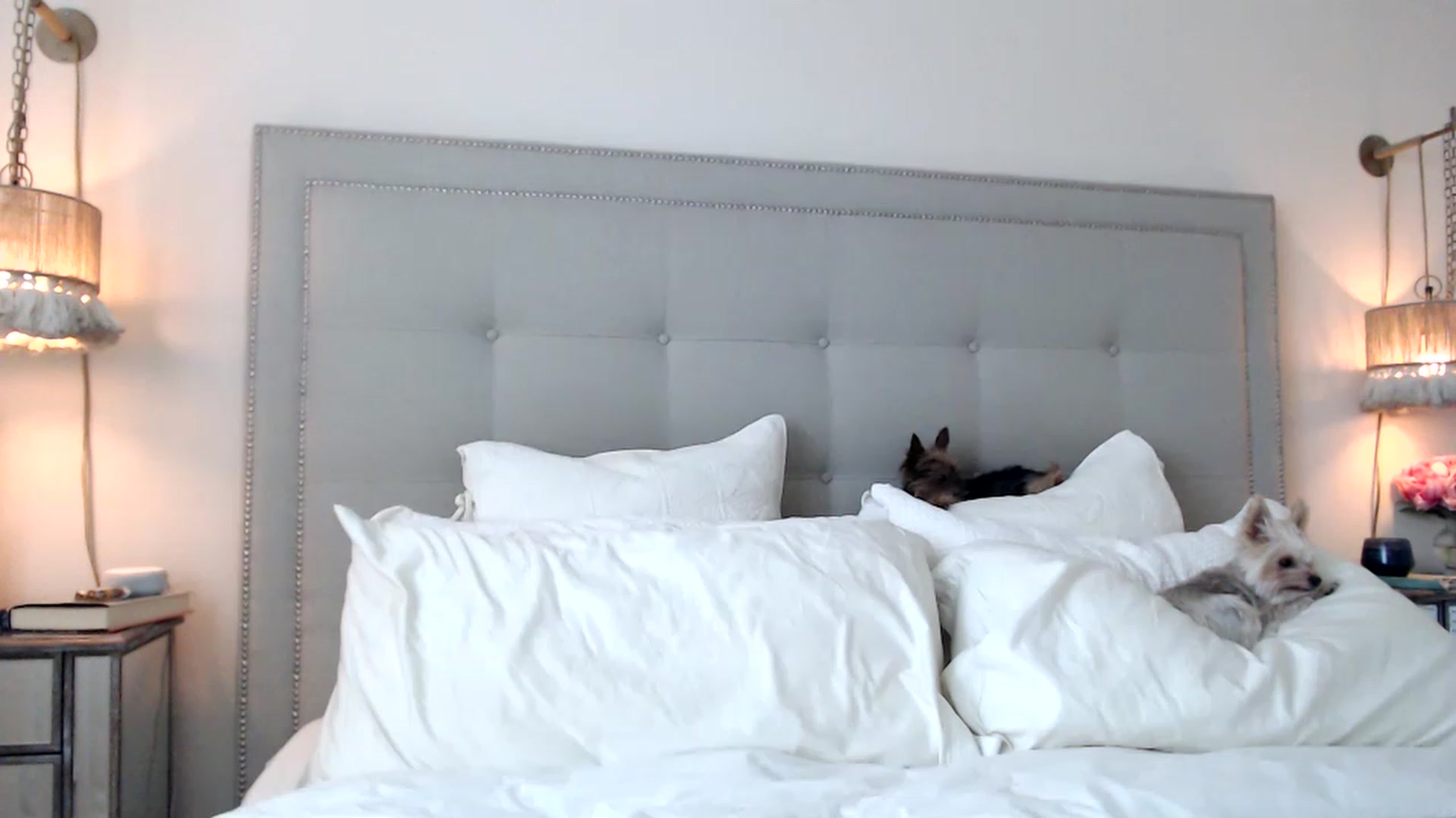 Gallery image thumbnail from DaniSendNudes's myfreecams stream on, 07/27/2023, 20:48 image 20 of 20