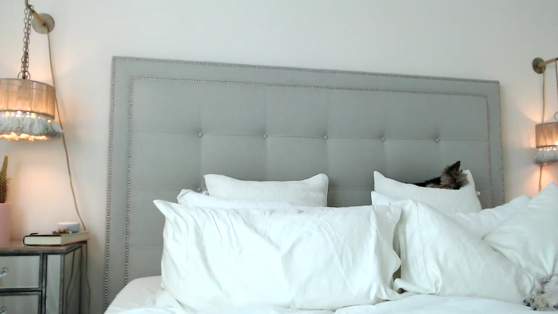 Gallery image thumbnail from DaniSendNudes's myfreecams stream on, 08/09/2023, 21:39 image 14 of 20