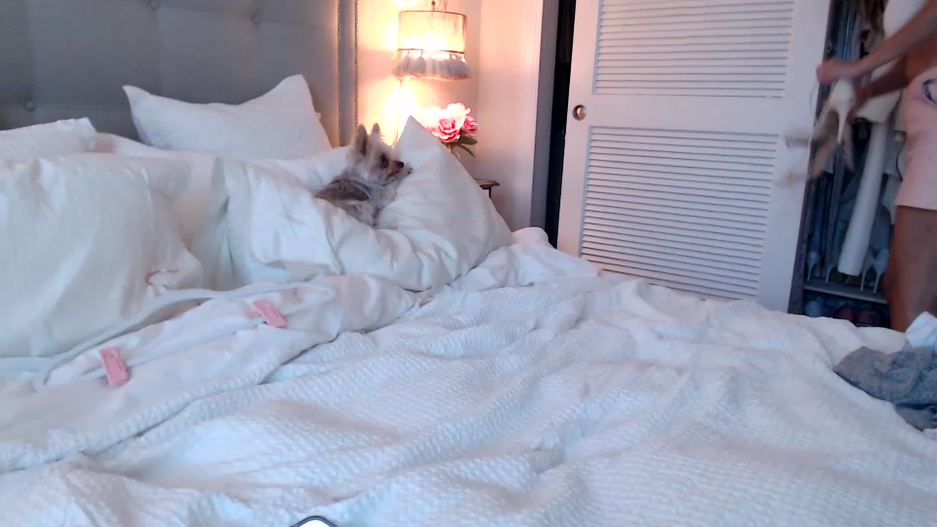 Gallery image thumbnail from DaniSendNudes's myfreecams stream on, 08/12/2023, 23:56 image 12 of 20