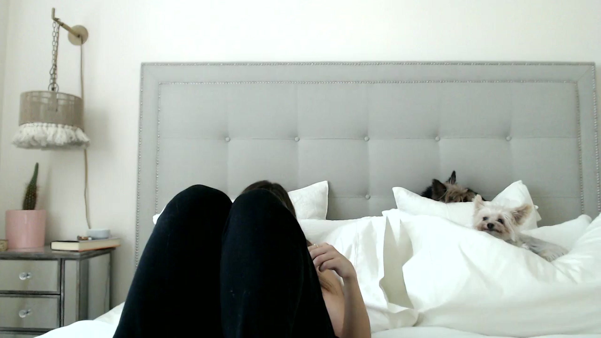 Gallery image thumbnail from DaniSendNudes's myfreecams stream on, 09/20/2023, 19:43 image 18 of 20