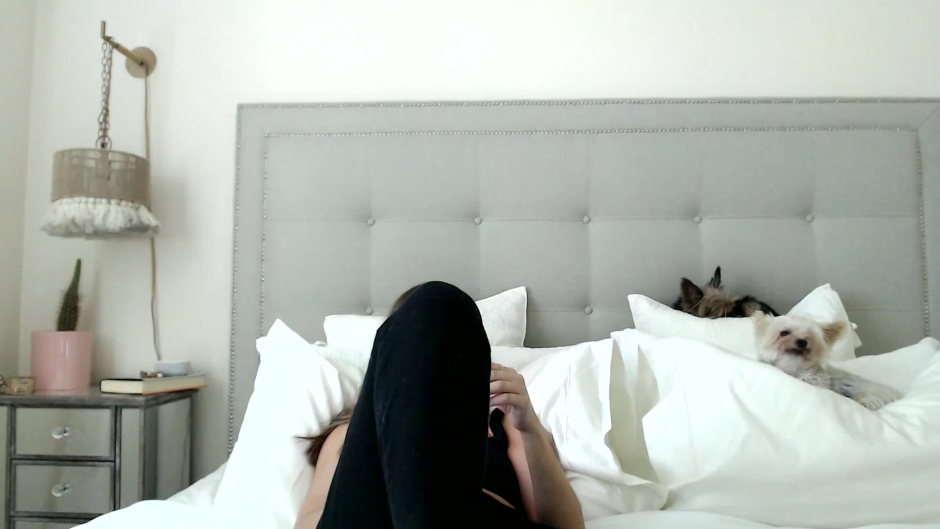 Gallery image thumbnail from DaniSendNudes's myfreecams stream on, 09/20/2023, 19:43 image 14 of 20