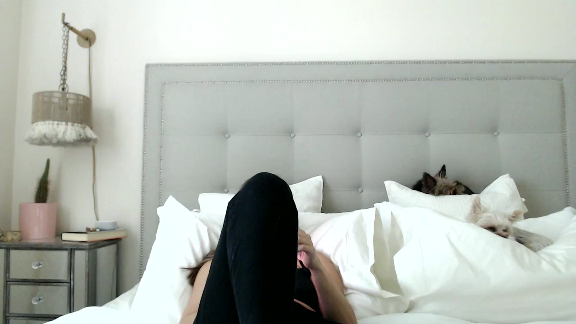 Gallery image thumbnail from DaniSendNudes's myfreecams stream on, 09/20/2023, 19:43 image 16 of 20