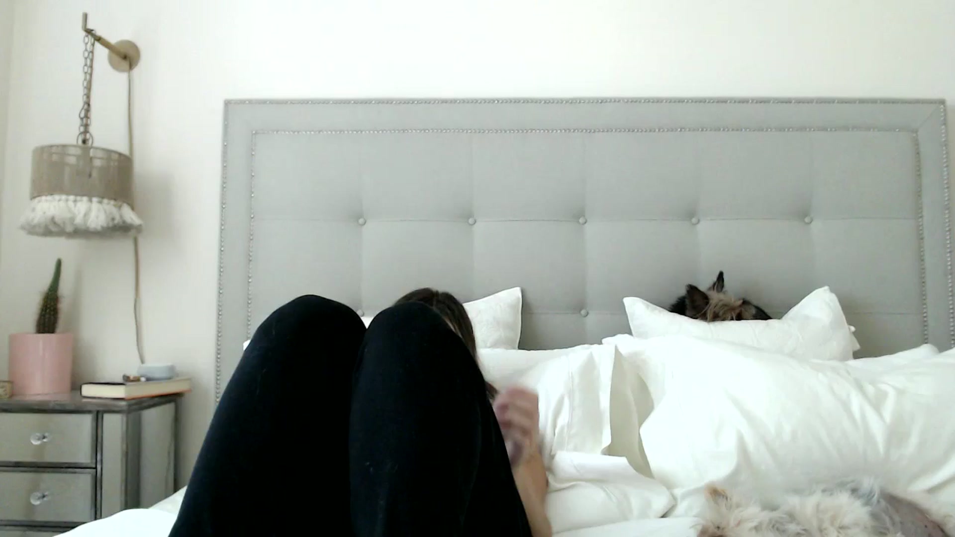 Gallery image thumbnail from DaniSendNudes's myfreecams stream on, 09/20/2023, 19:43 image 19 of 20