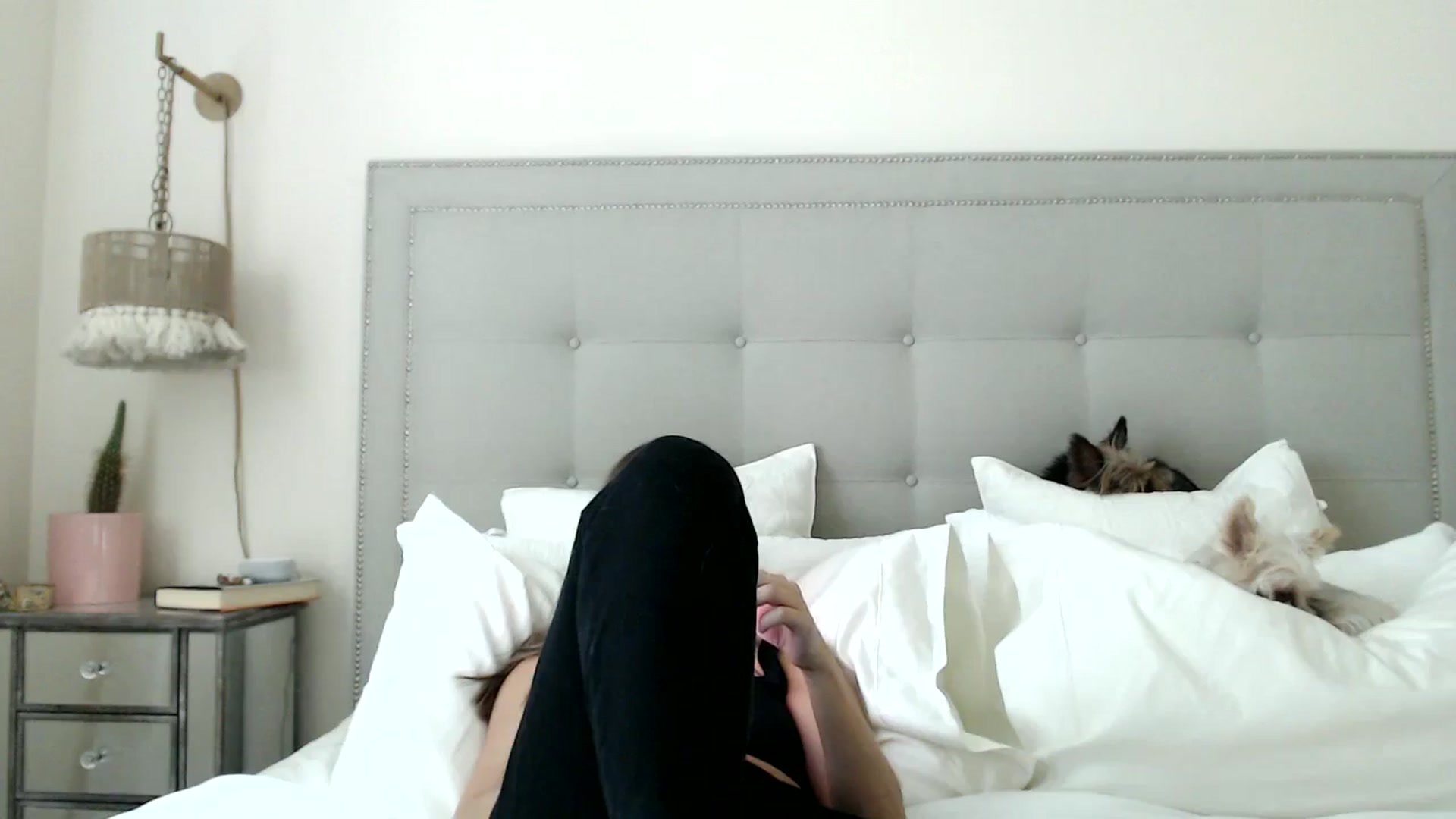 Gallery image thumbnail from DaniSendNudes's myfreecams stream on, 09/20/2023, 19:43 image 15 of 20