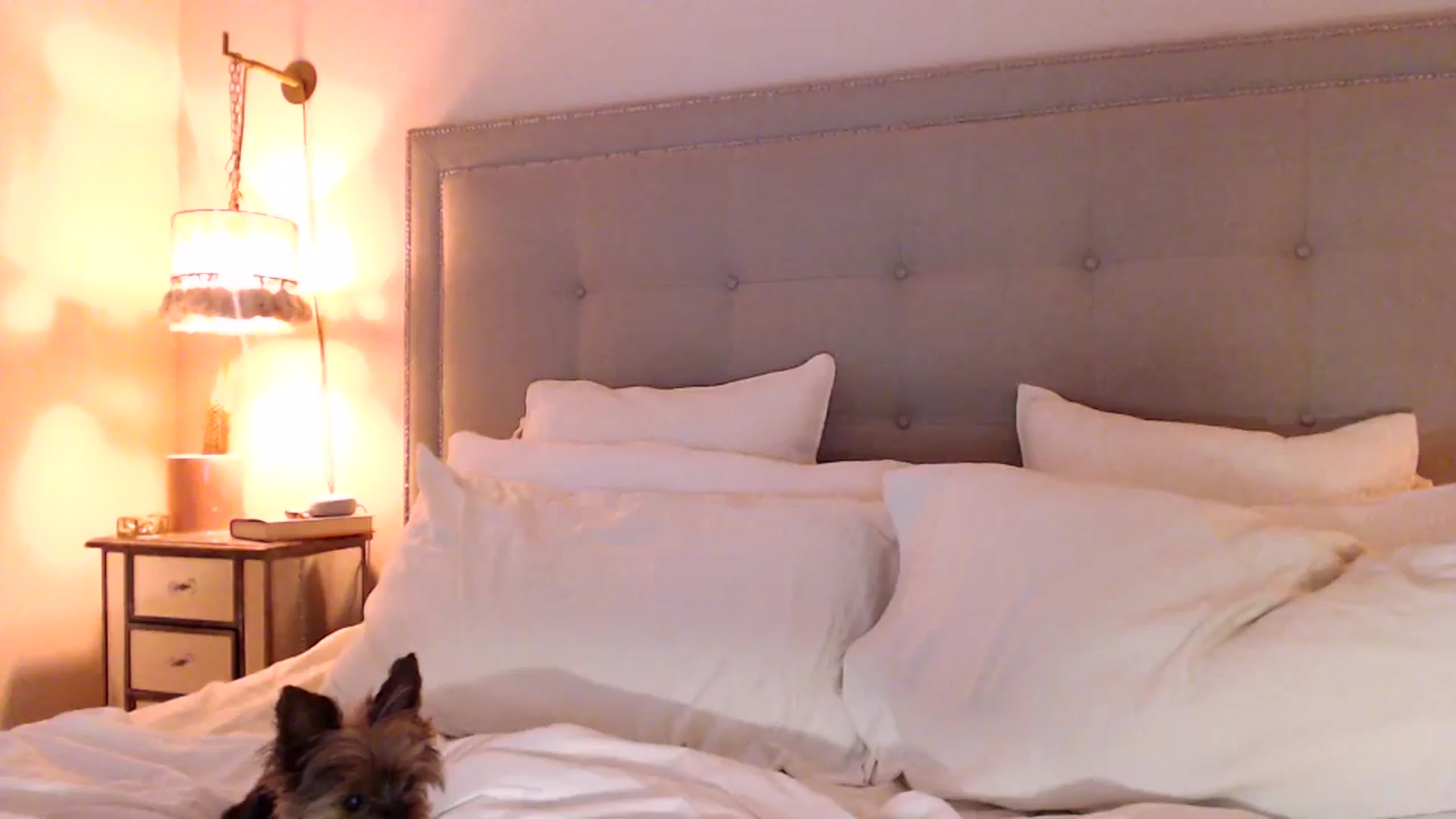 Gallery image thumbnail from DaniSendNudes's myfreecams stream on, 09/29/2023, 22:57 image 14 of 20