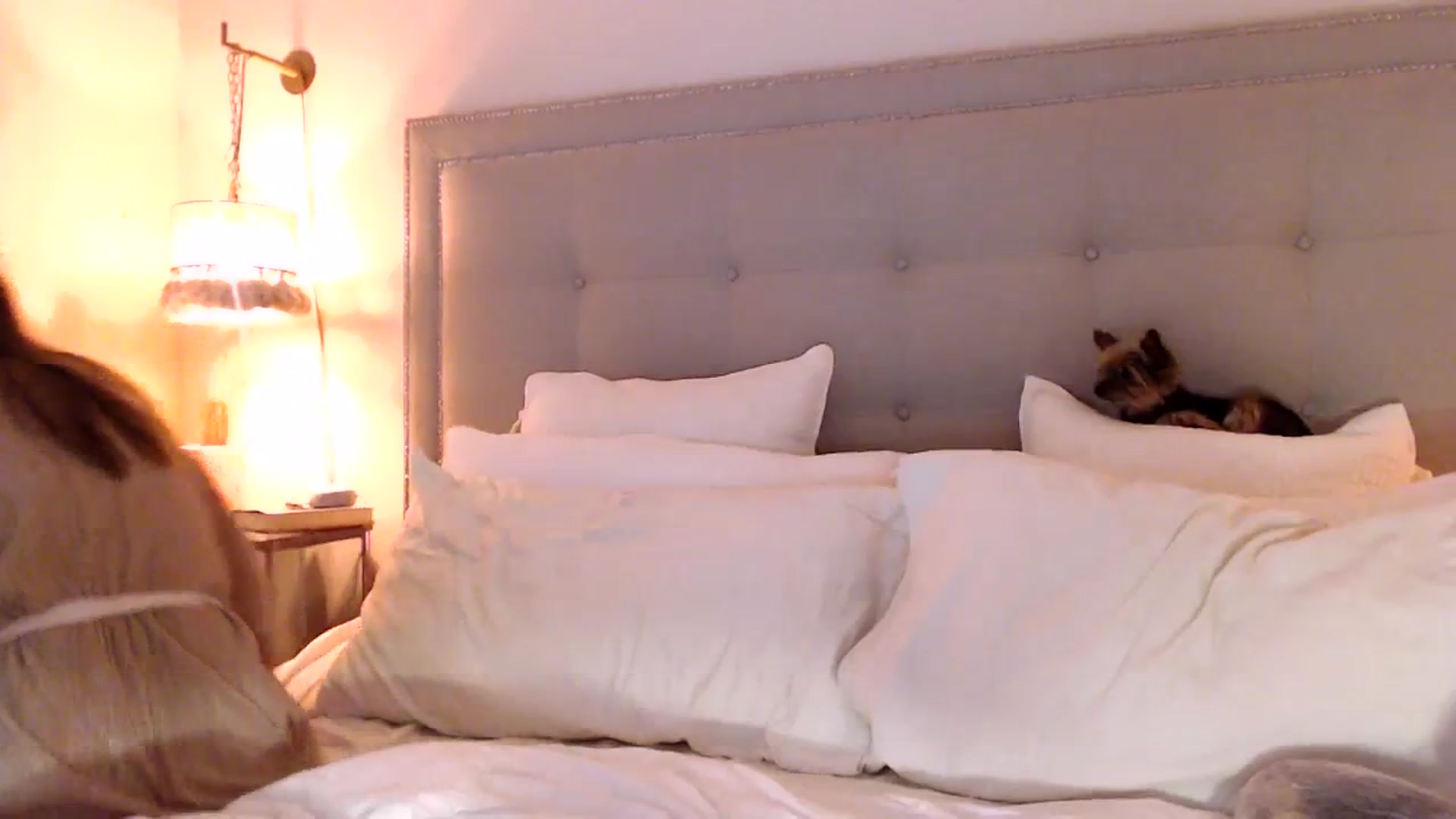 Gallery image thumbnail from DaniSendNudes's myfreecams stream on, 09/29/2023, 22:57 image 11 of 20